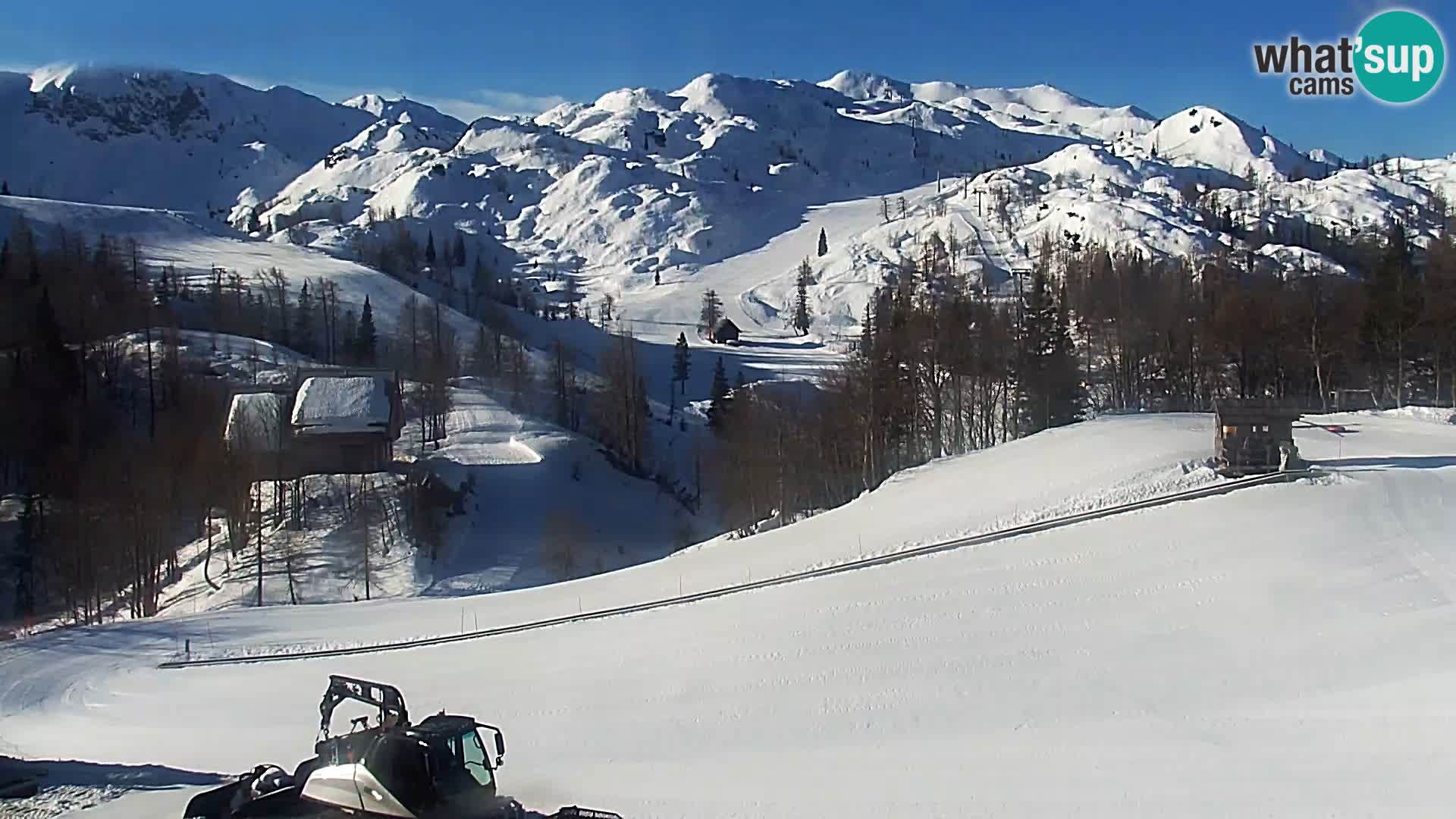 Webcam Ski resort Vogel