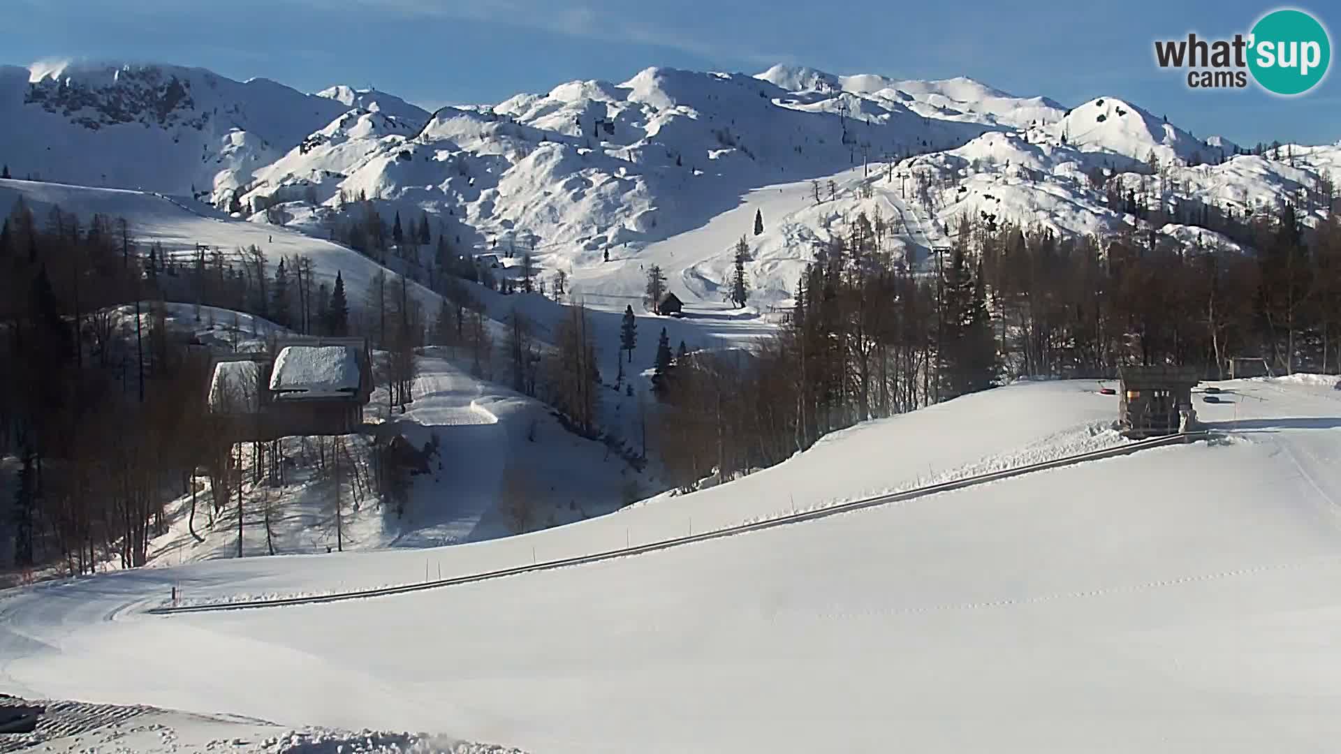Live cam Station ski Vogel