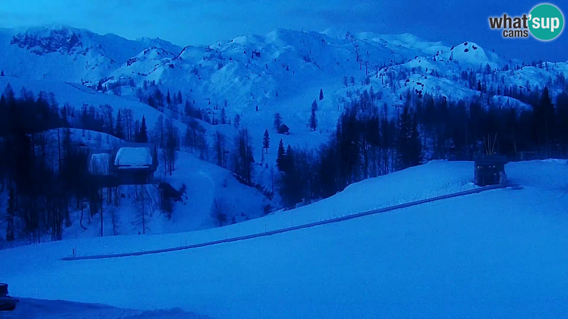 Webcam Skigebiet Vogel