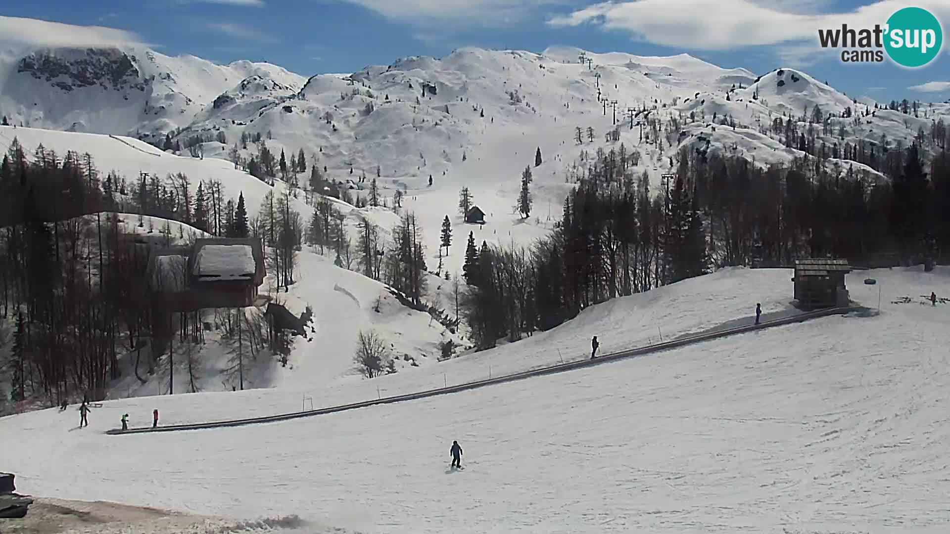 Live cam Station ski Vogel