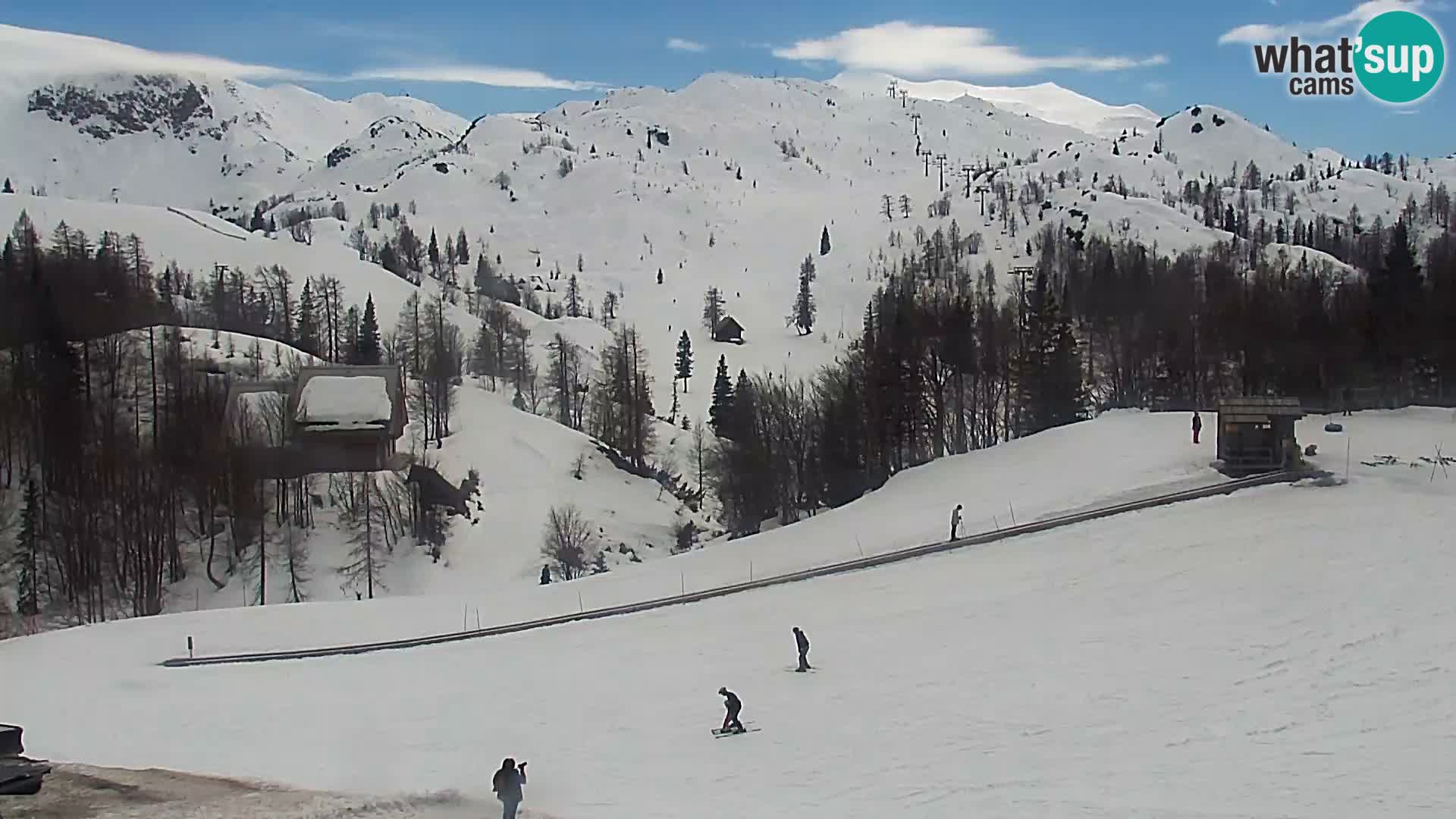 Webcam Stazione sciistica Vogel