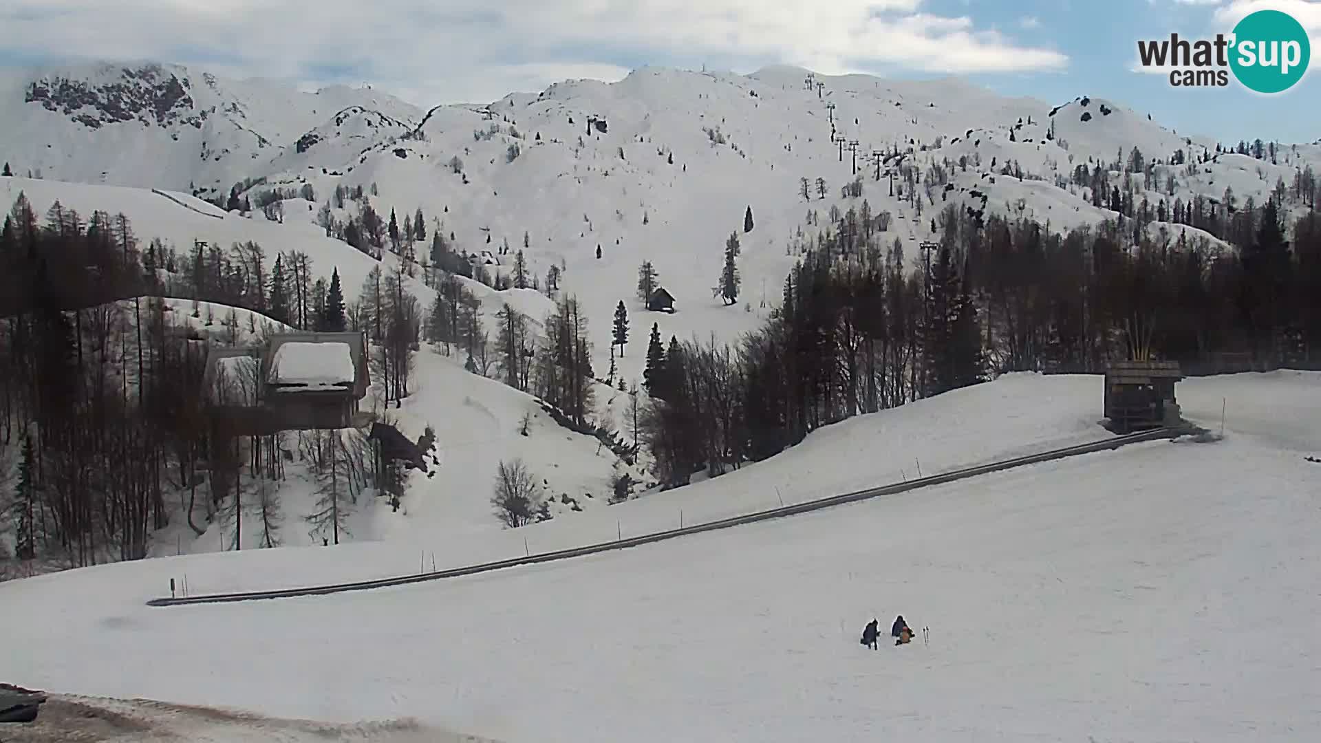 Live cam Station ski Vogel