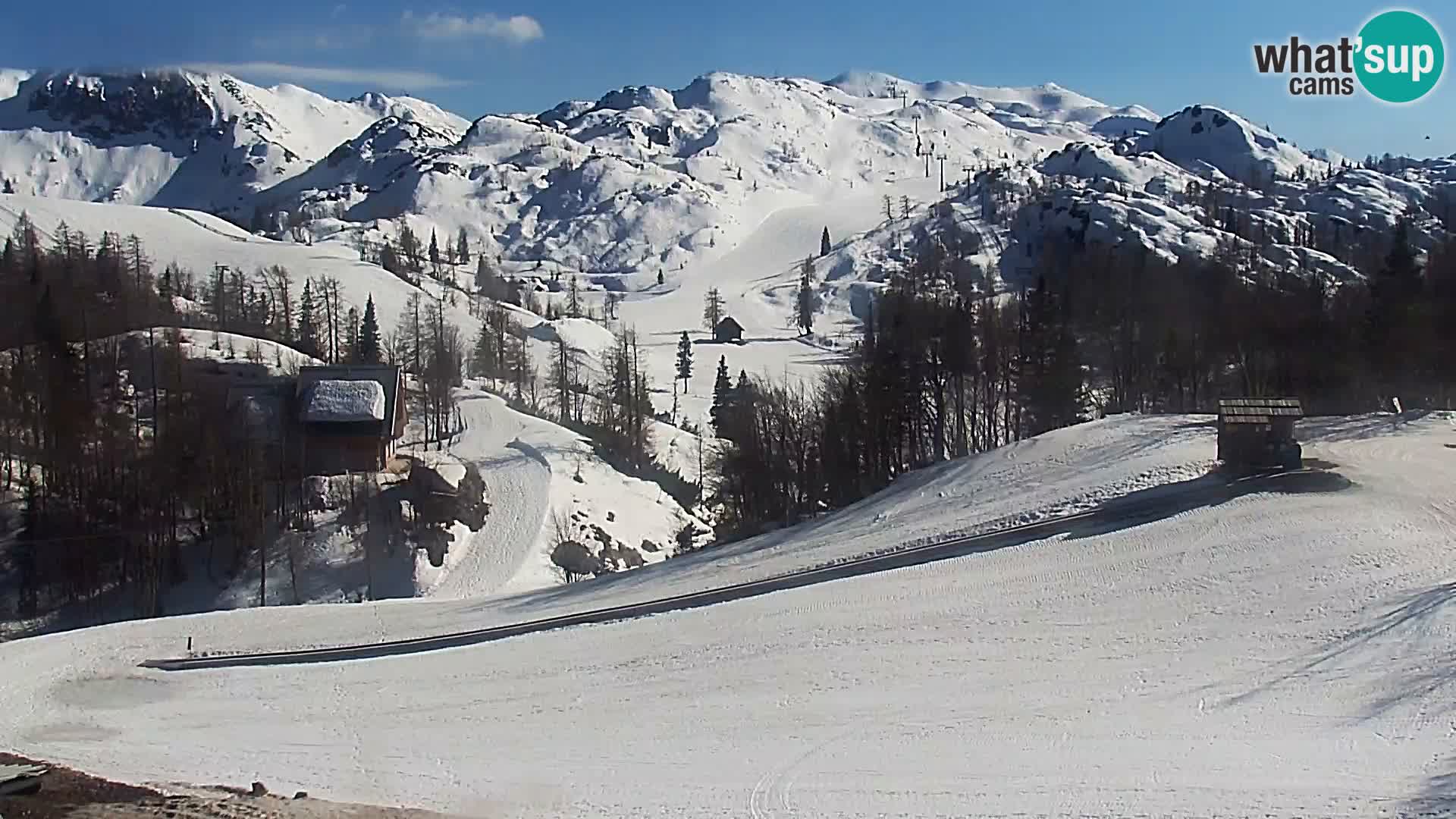 Spletna kamera Smučišče Kamera v zivo Vogel – postaja nihalke