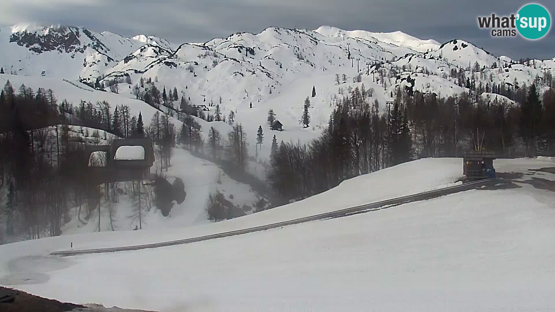 Webcam Skigebiet Vogel