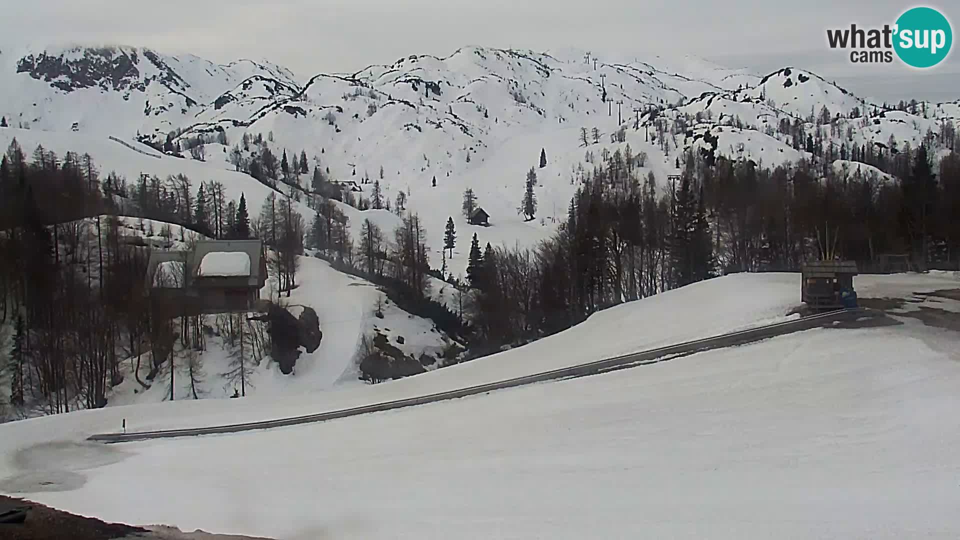 Webcam Skigebiet Vogel