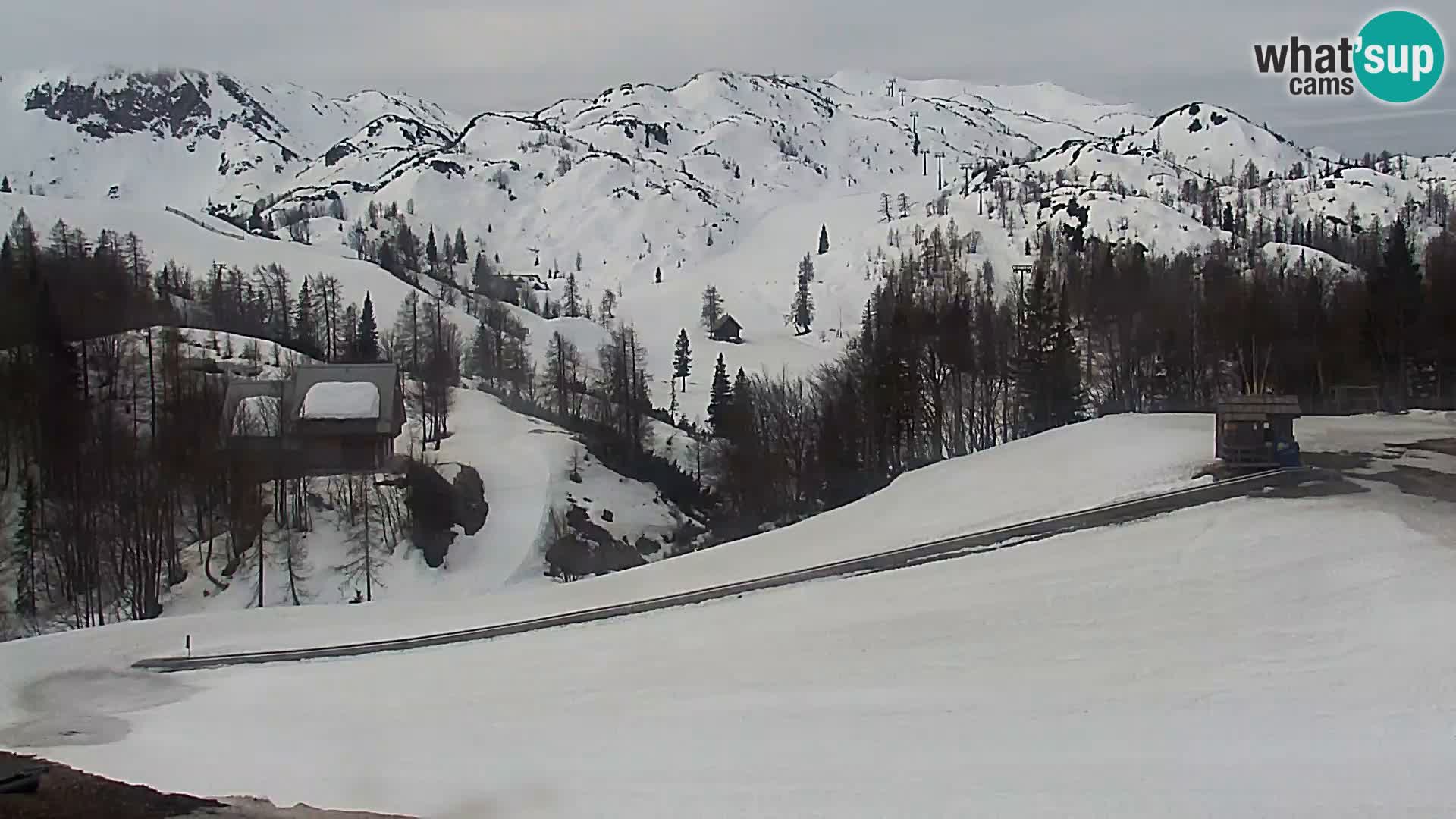 Webcam Stazione sciistica Vogel