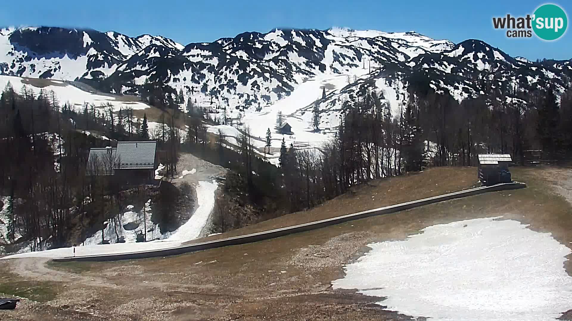 Webcam Stazione sciistica Vogel