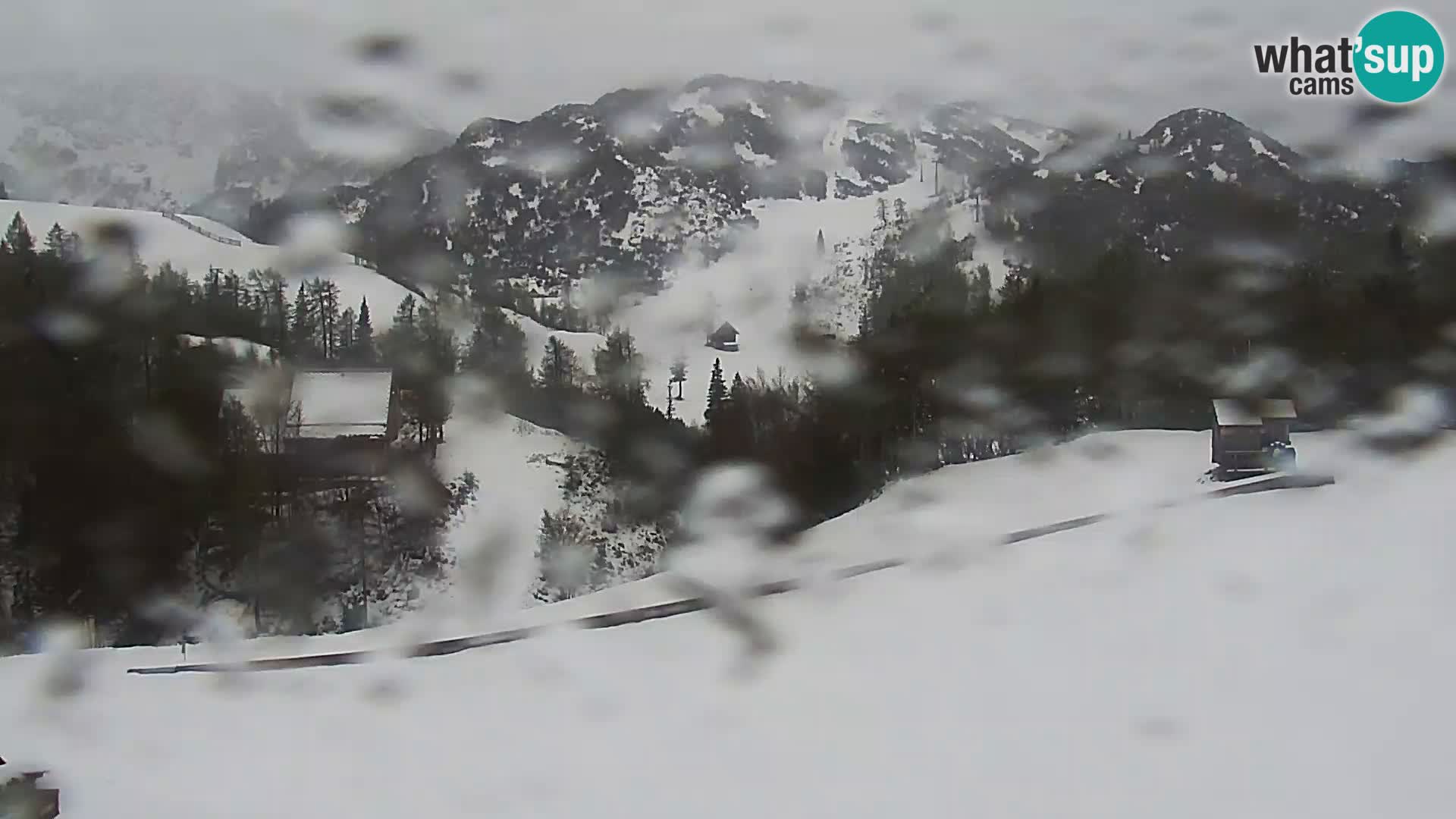 Webcam Ski resort Vogel