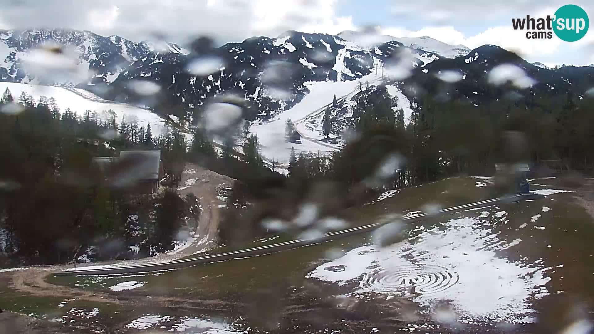 Live cam Station ski Vogel