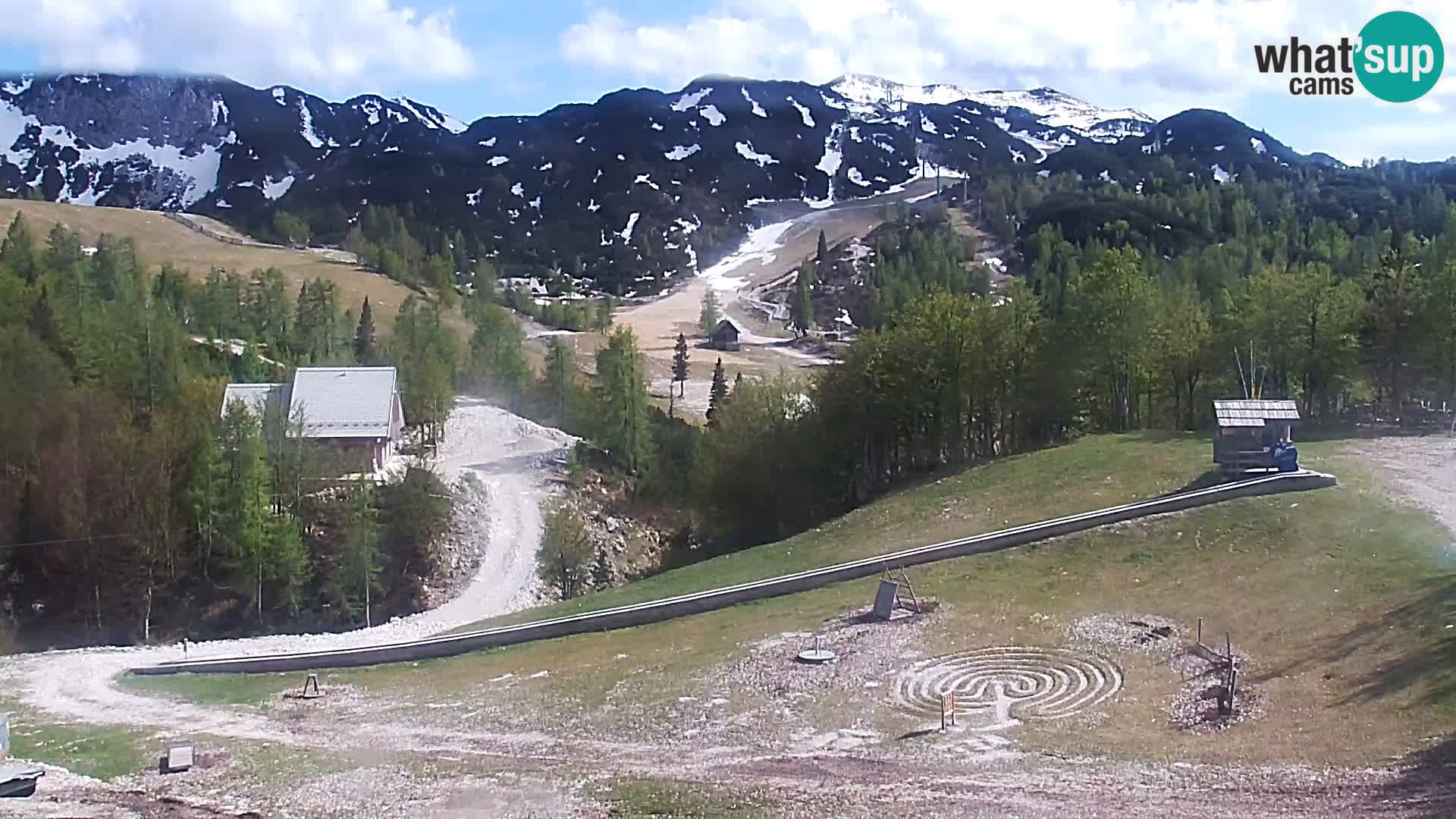 Webcam Skigebiet Vogel