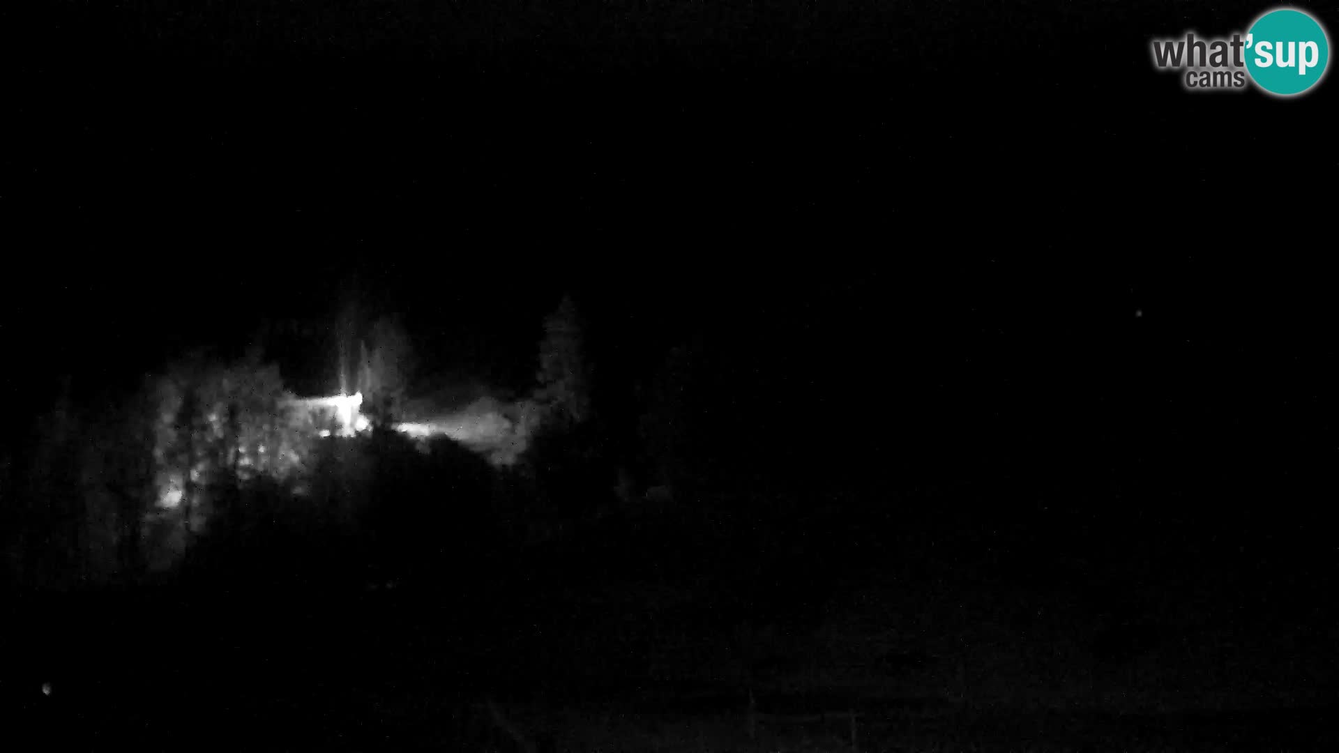Webcam Skigebiet Vogel