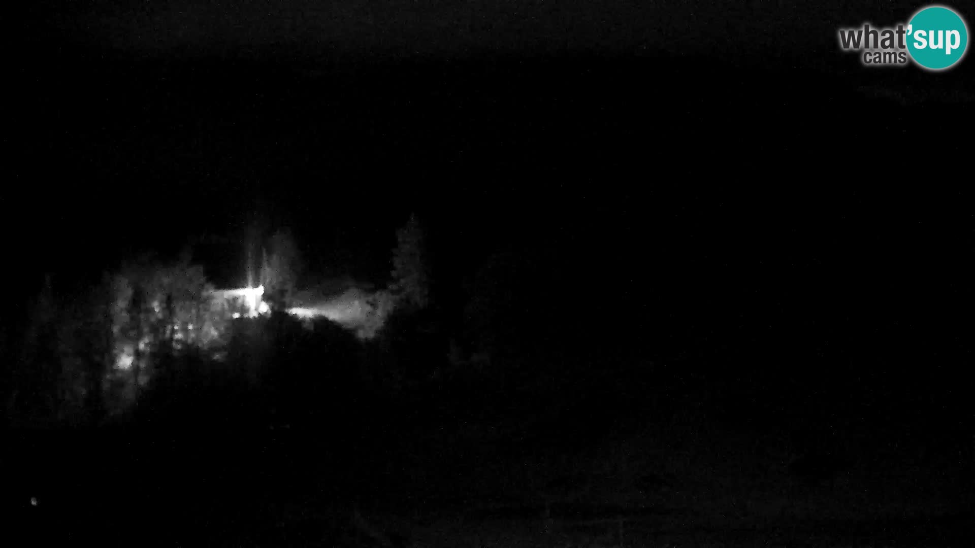 Live cam Station ski Vogel