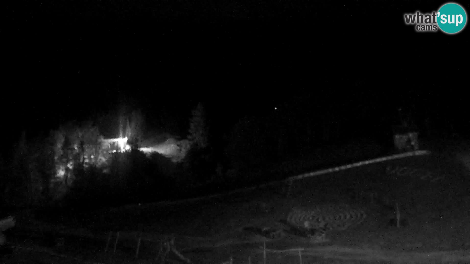 Live cam Station ski Vogel
