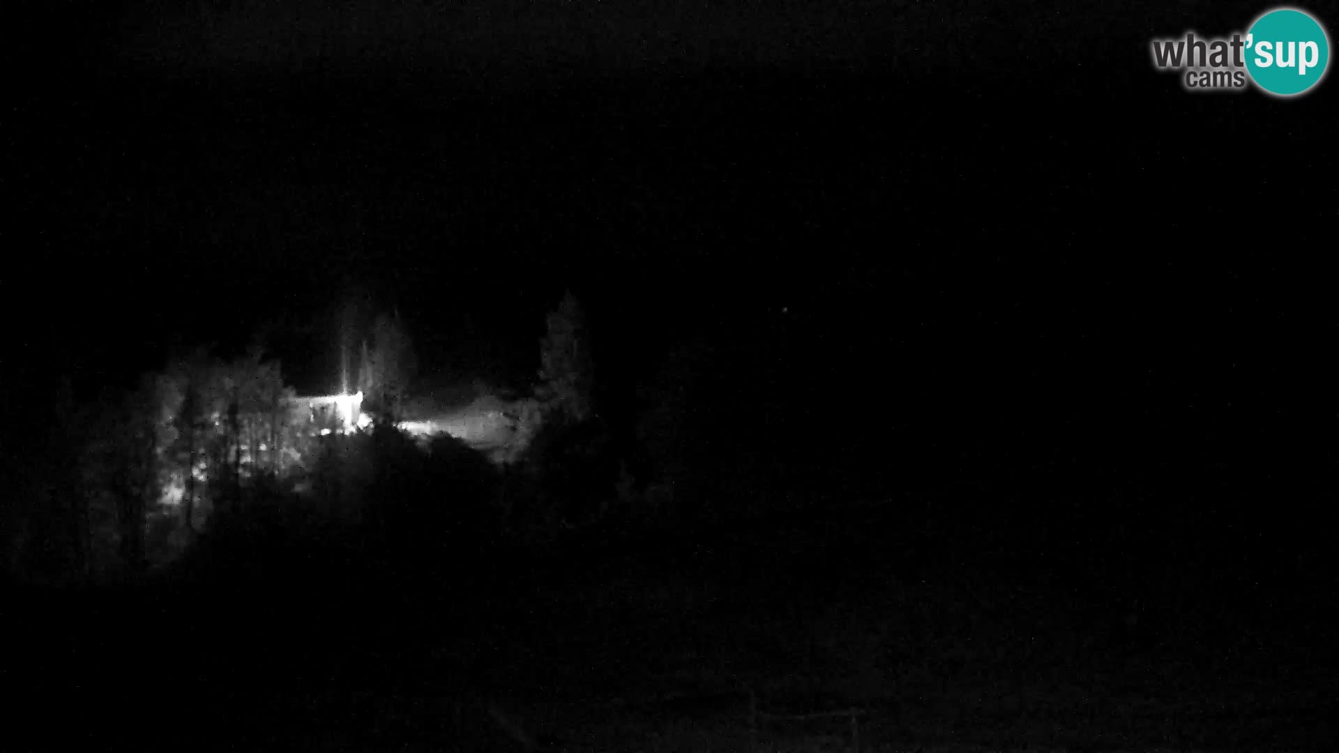 Webcam Skigebiet Vogel