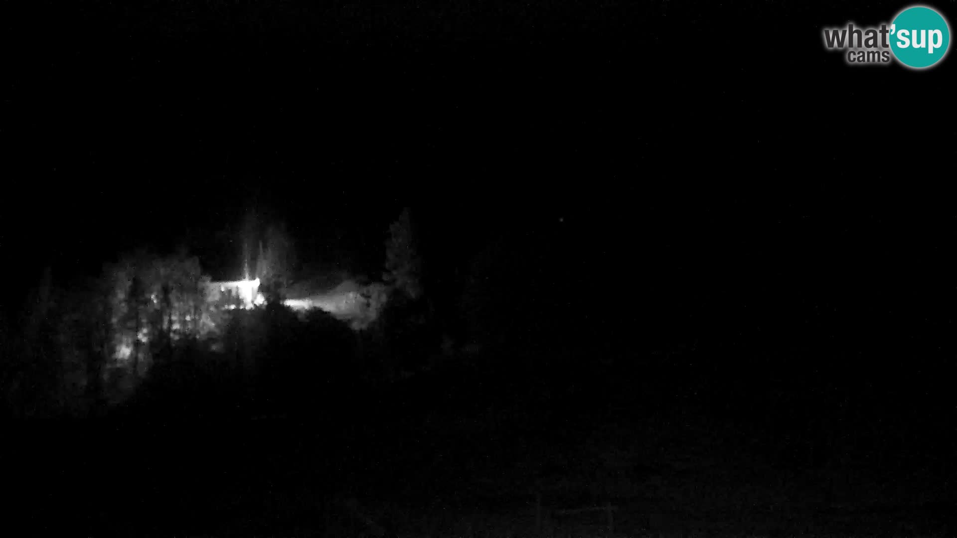 Live cam Station ski Vogel