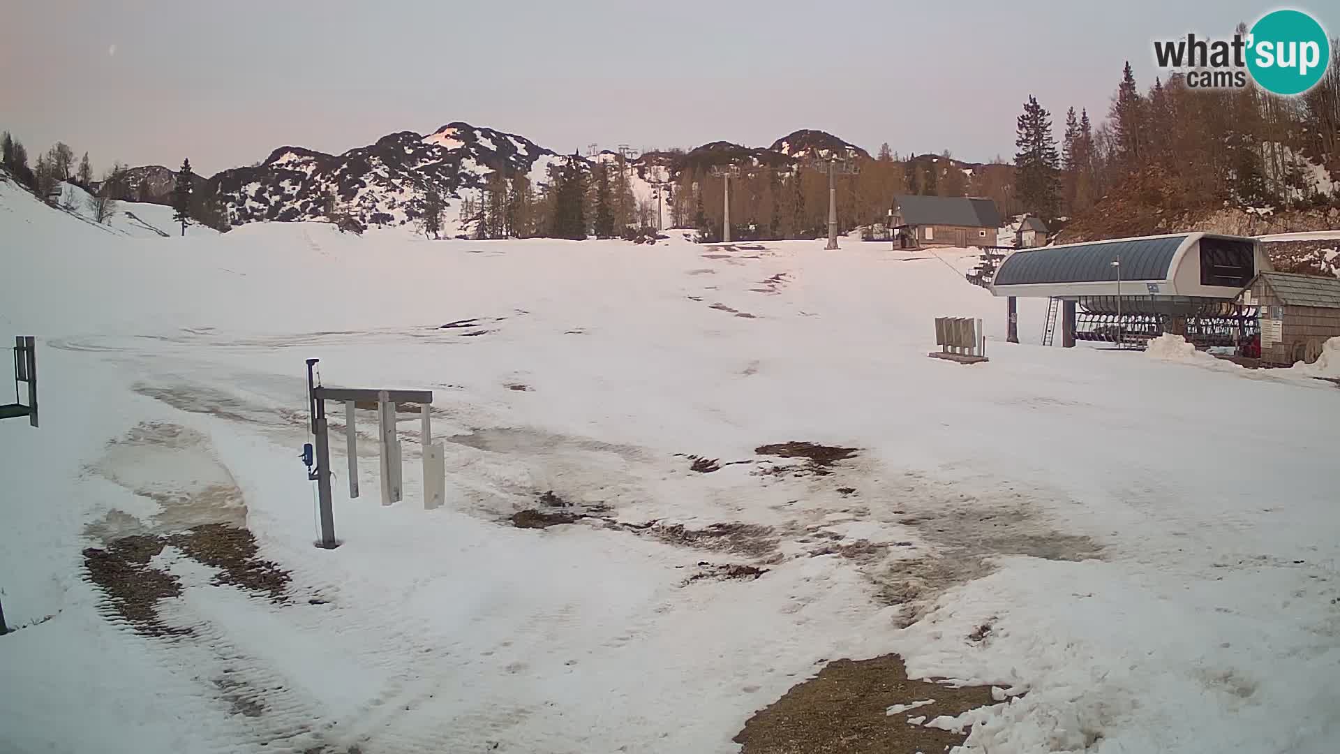Vogel Ski Resort Live Webcam Snow Park