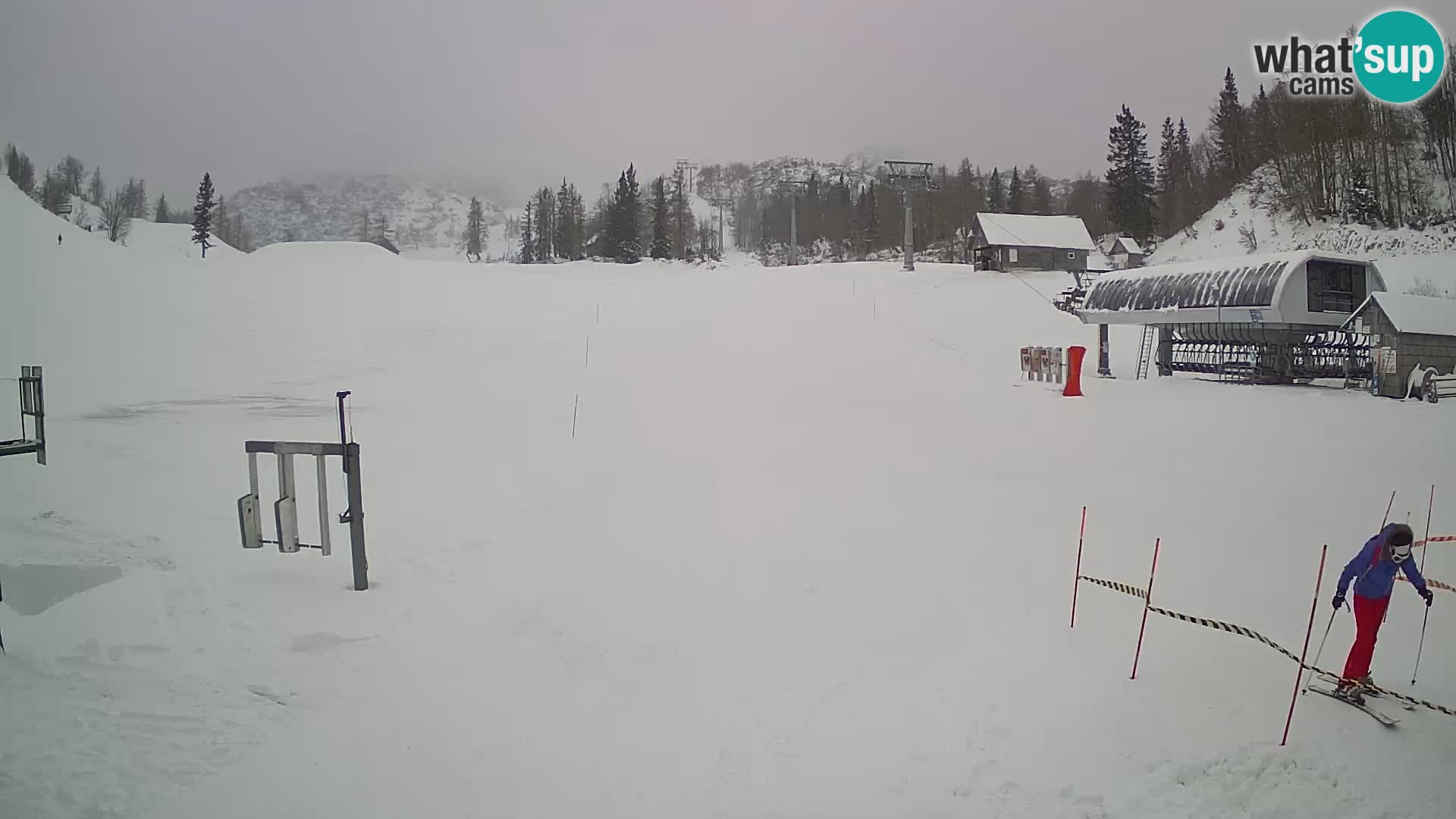 Vogel Ski Resort Live Webcam Snow Park