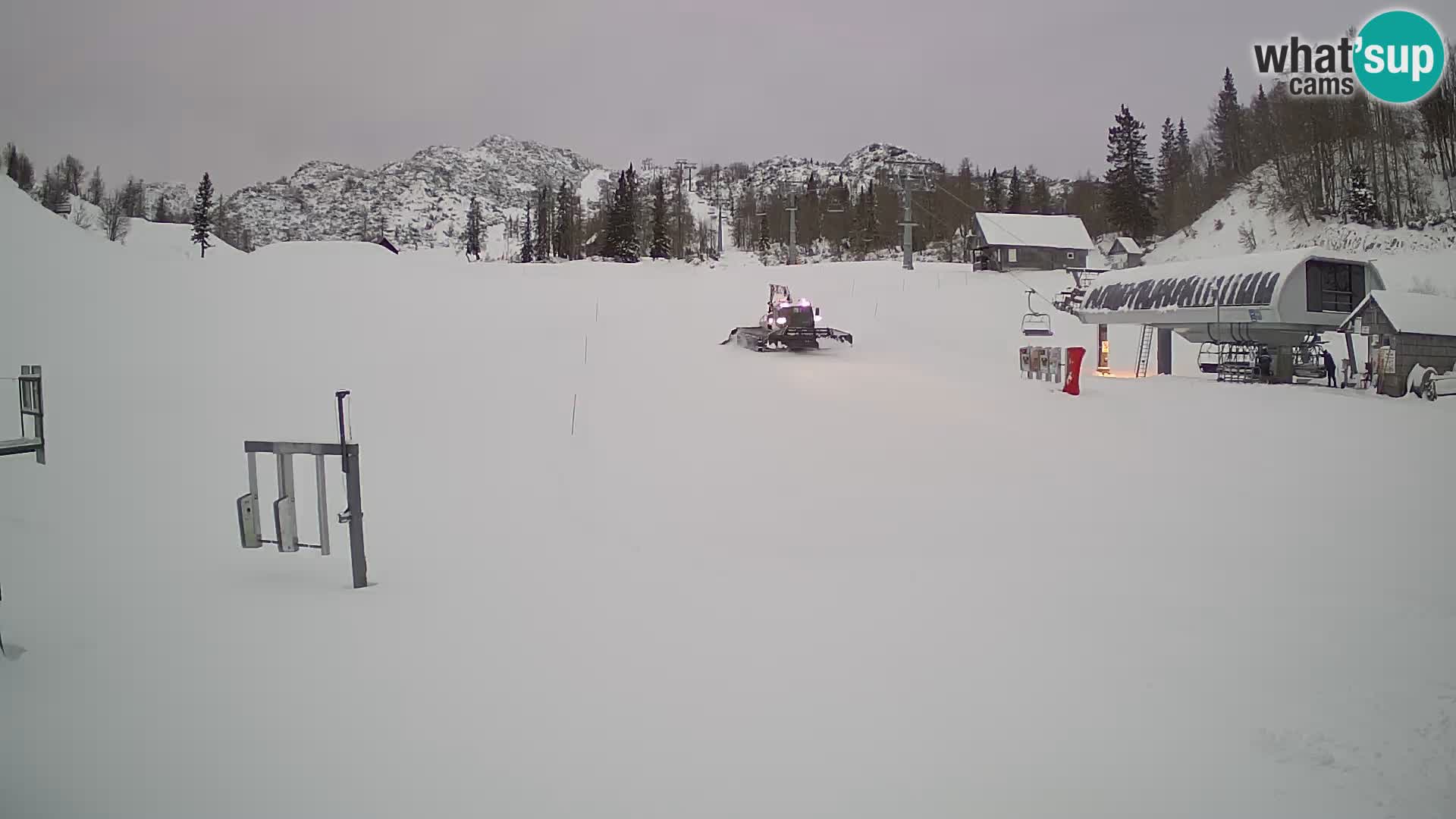 Vogel Ski Resort Live Webcam Snow Park