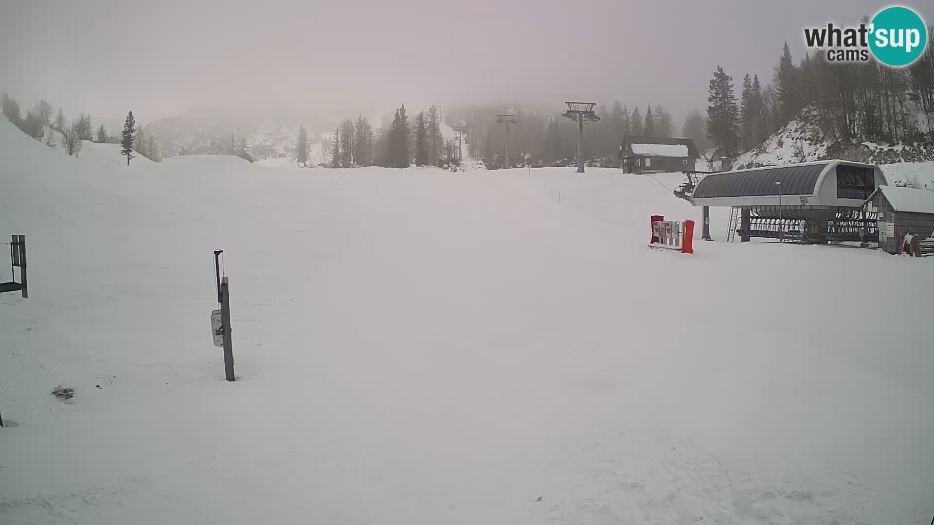 Vogel Ski Resort Live Webcam Snow Park