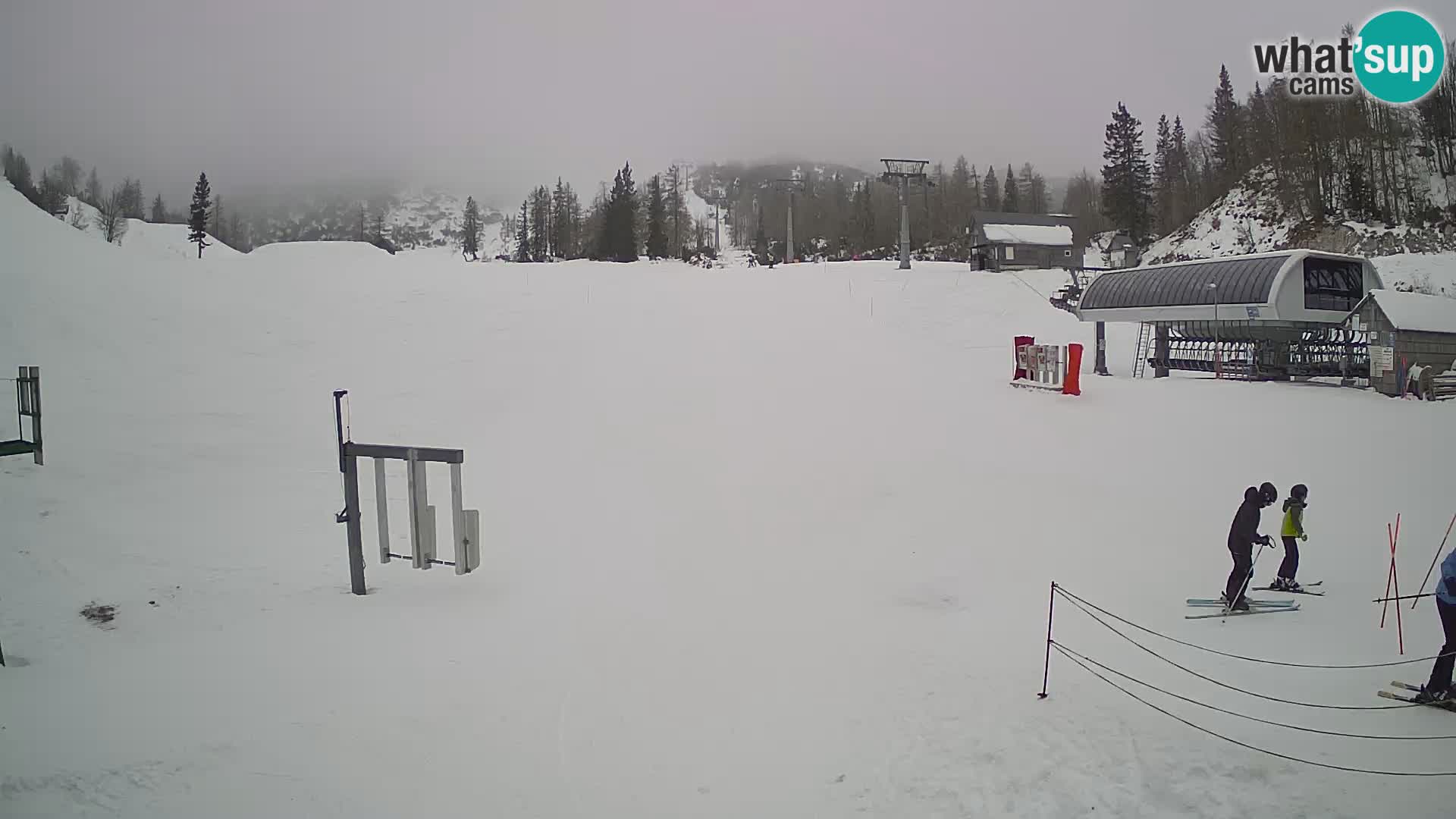 Vogel Ski Resort Live Webcam Snow Park