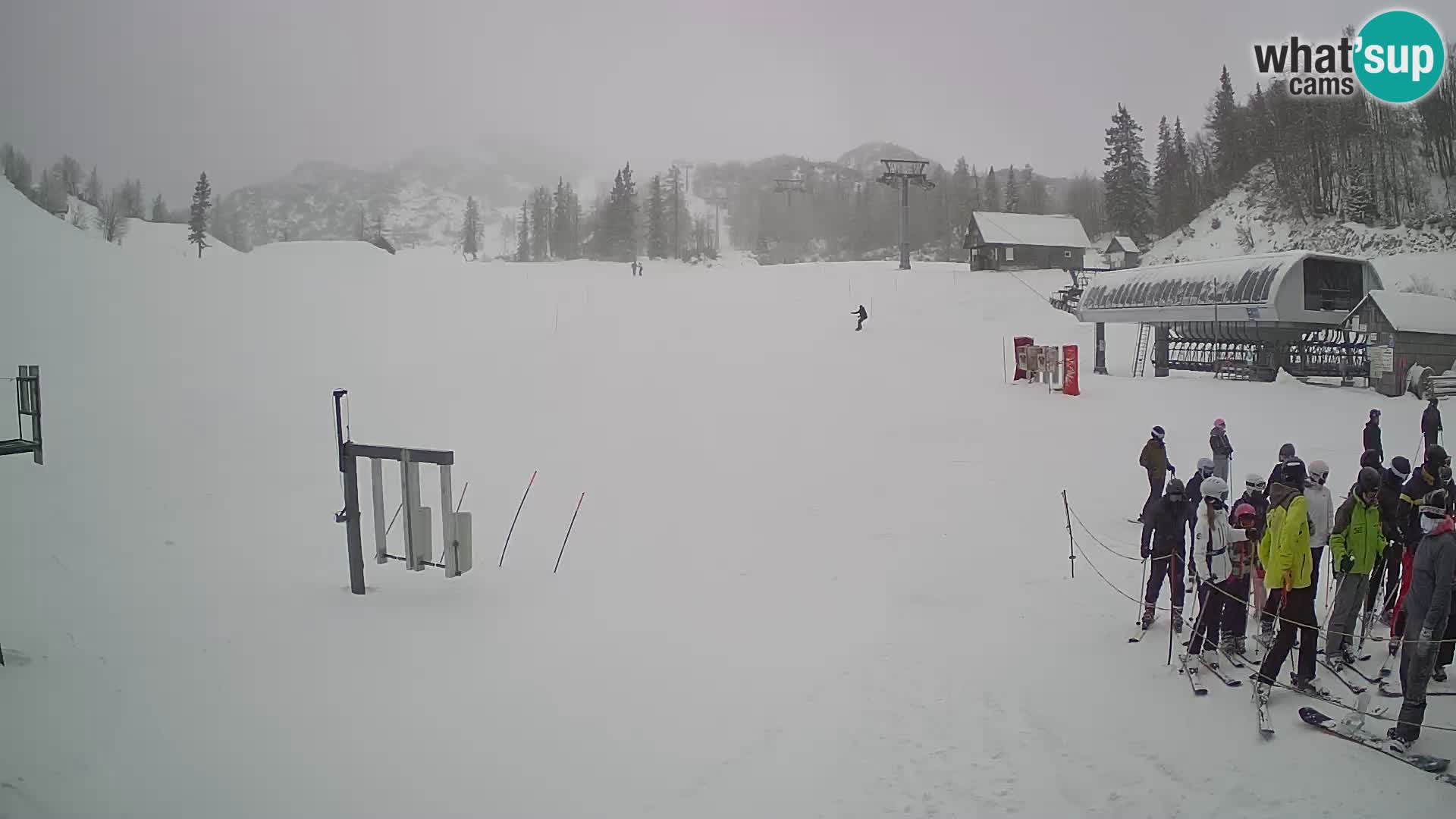 Vogel Ski Resort Live Webcam Snow Park