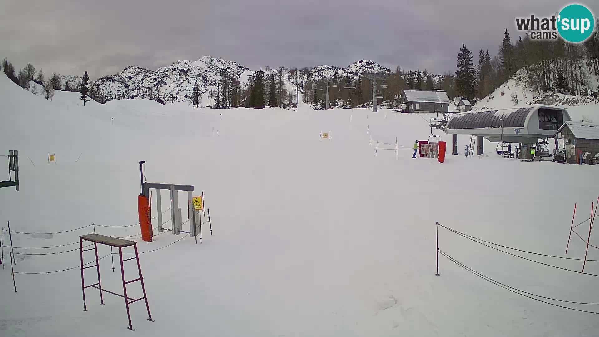 Vogel Ski Resort Live Webcam Snow Park