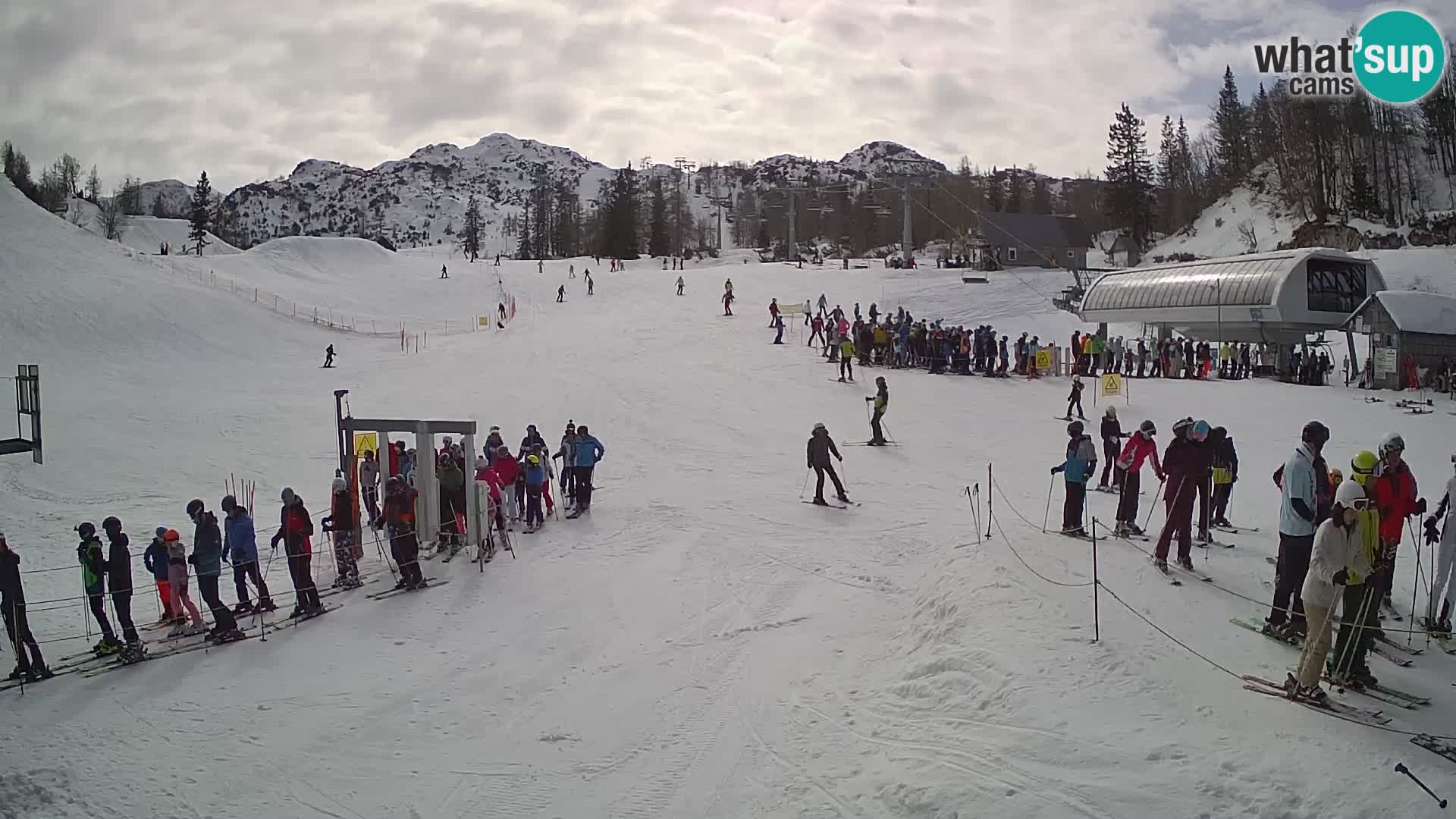 Vogel Ski Resort Live Webcam Snow Park