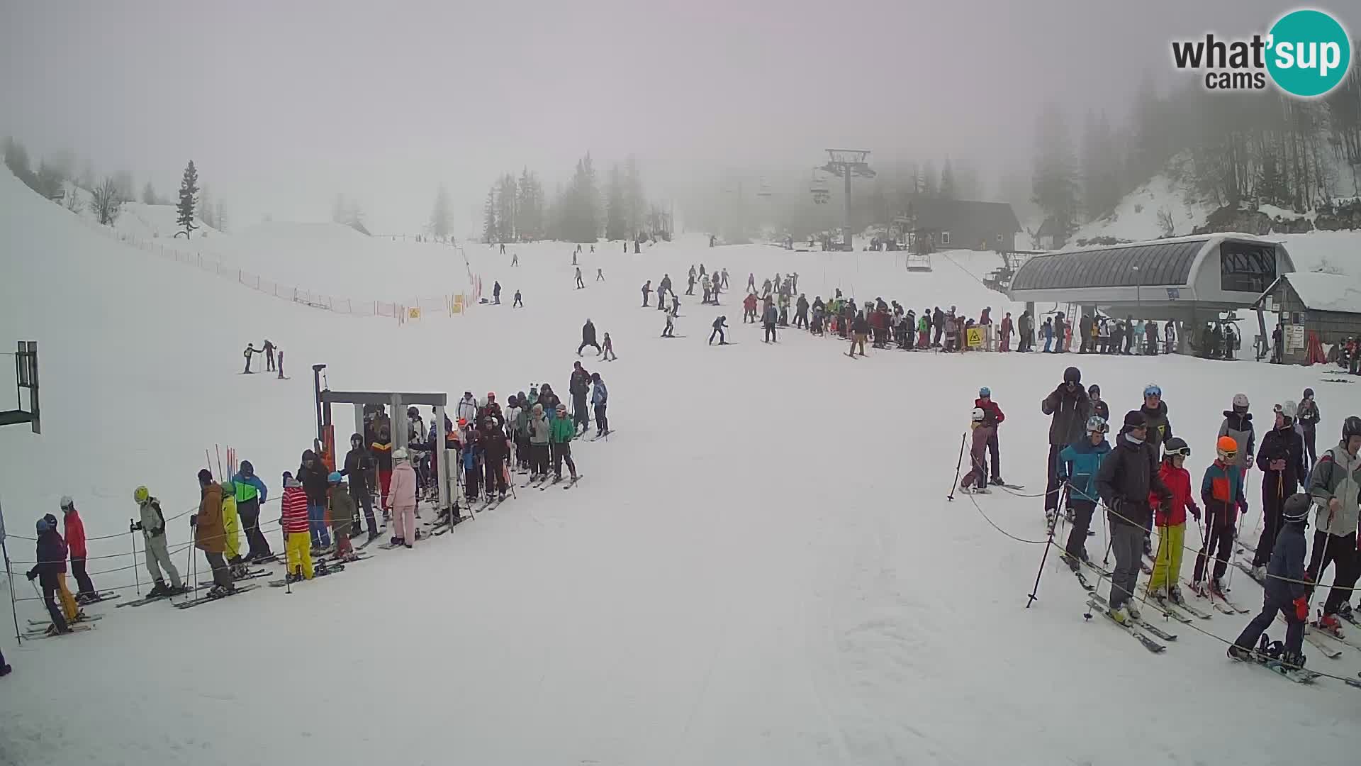 Vogel Ski Resort Live Webcam Snow Park