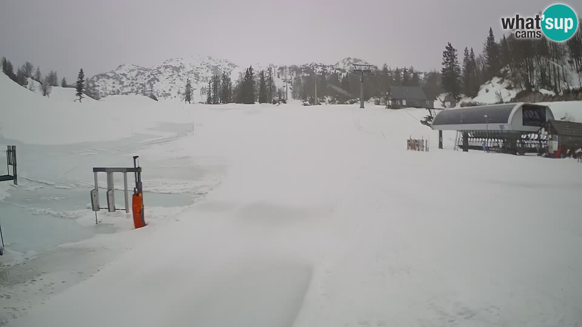 Vogel Ski Resort Live Webcam Snow Park