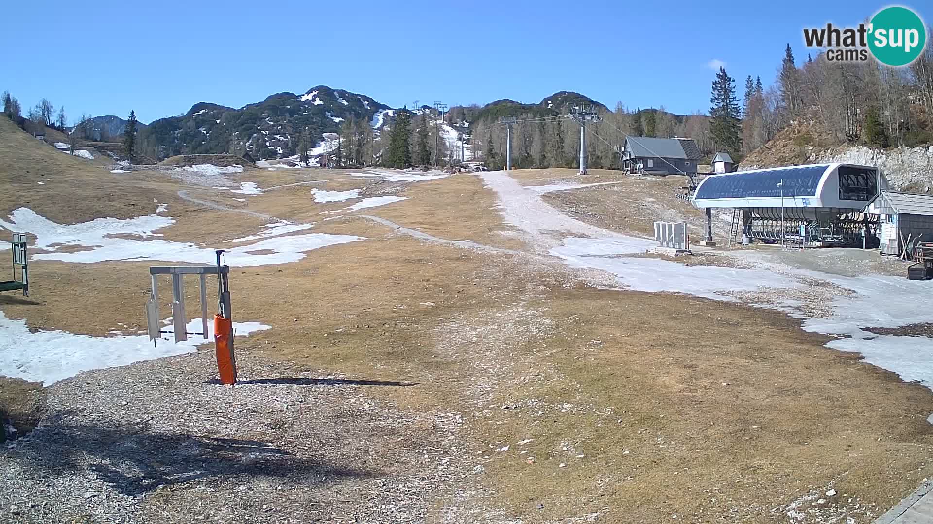 Vogel Ski Resort Live Webcam Snow Park