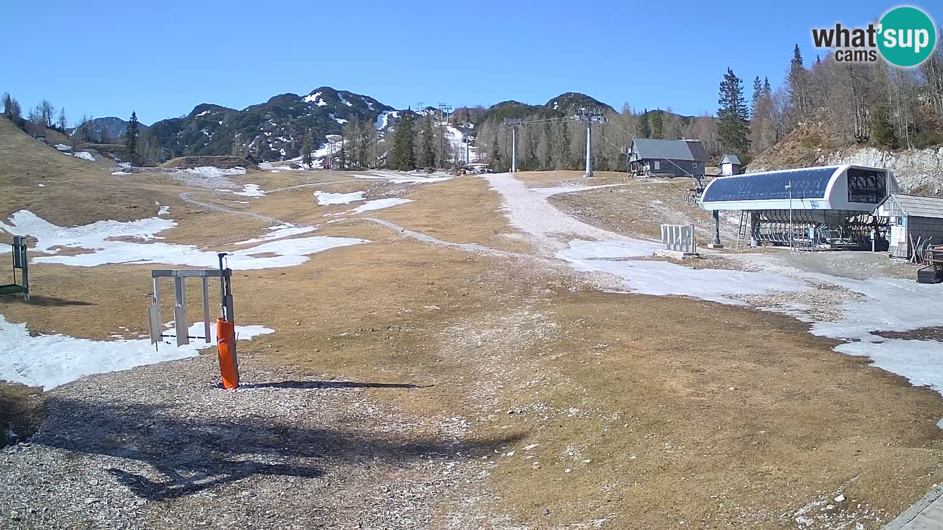 Vogel Ski Resort Live Webcam Snow Park