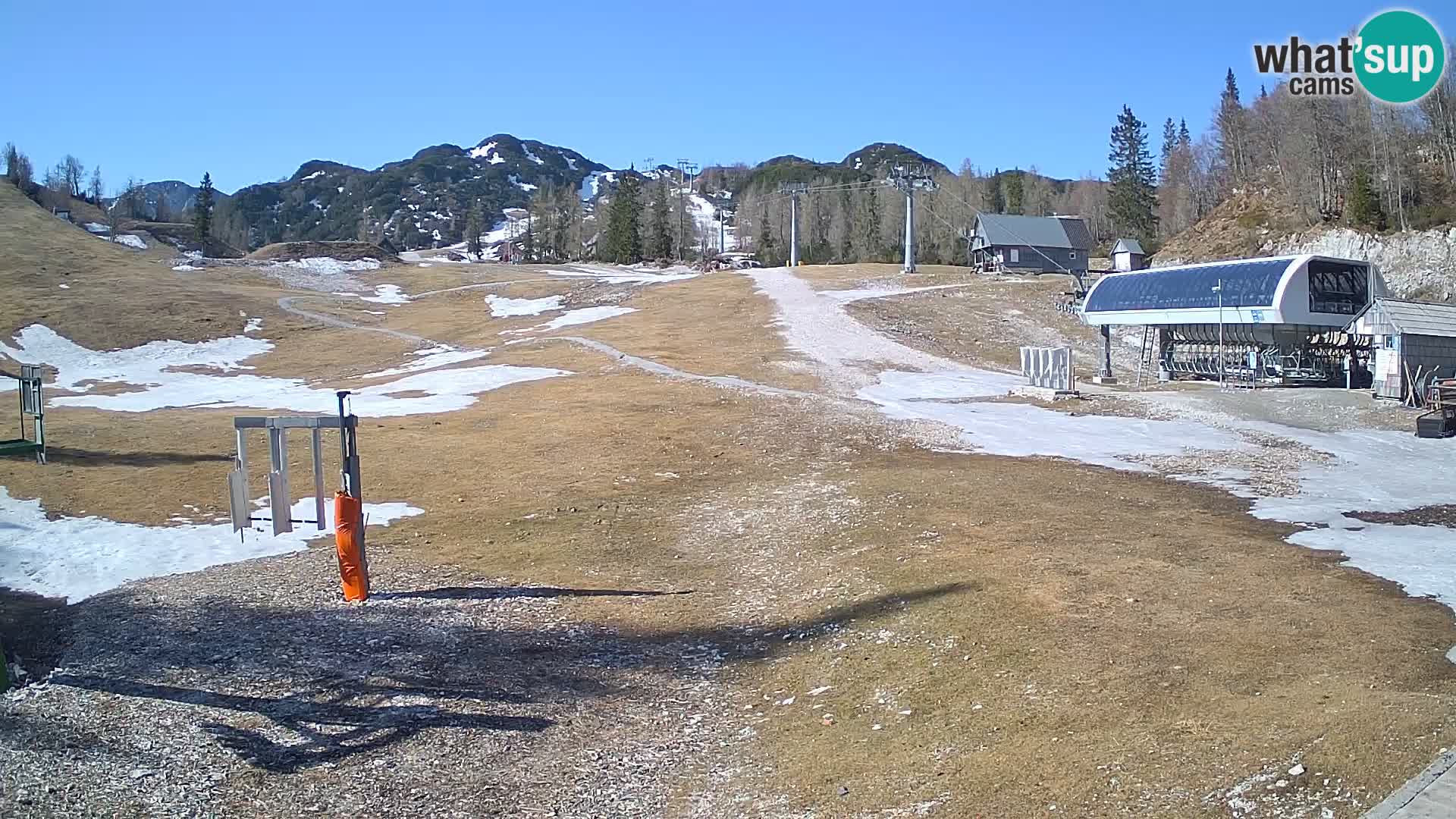 Vogel Ski Resort Live Webcam Snow Park