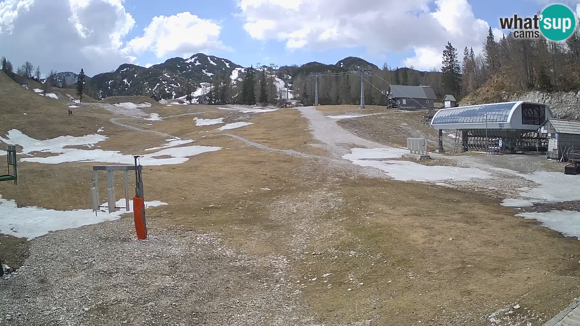 Vogel Ski Resort Live Webcam Snow Park