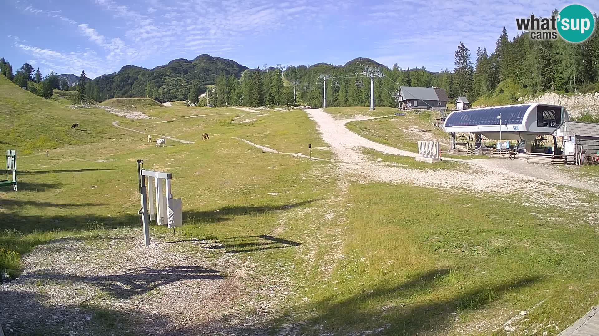 Vogel Ski Resort Live Webcam Snow Park