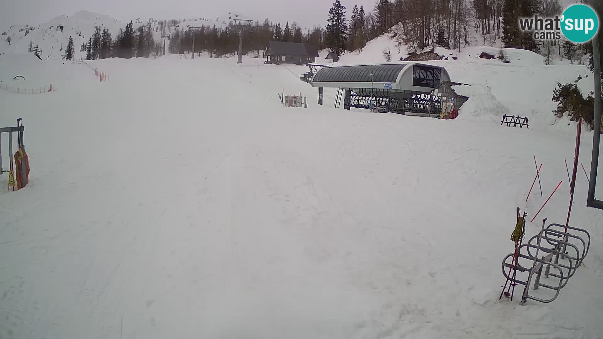 Vogel Ski Resort Live Webcam Snow Park