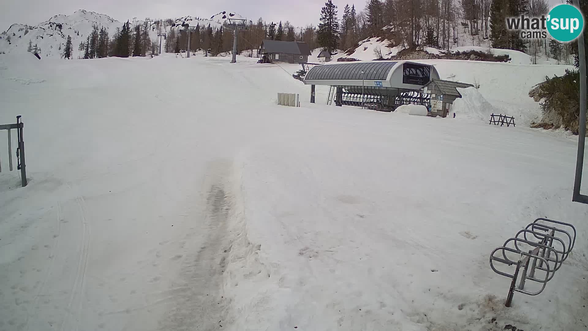 Vogel Ski Resort Live Webcam Snow Park