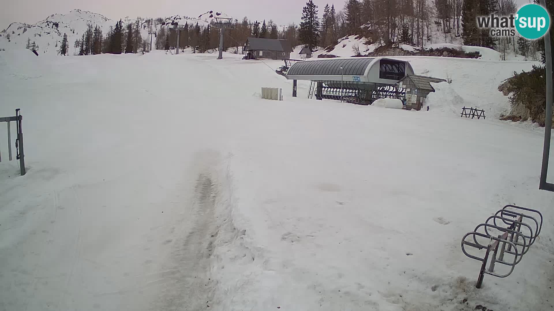 Vogel Ski Resort Live Webcam Snow Park