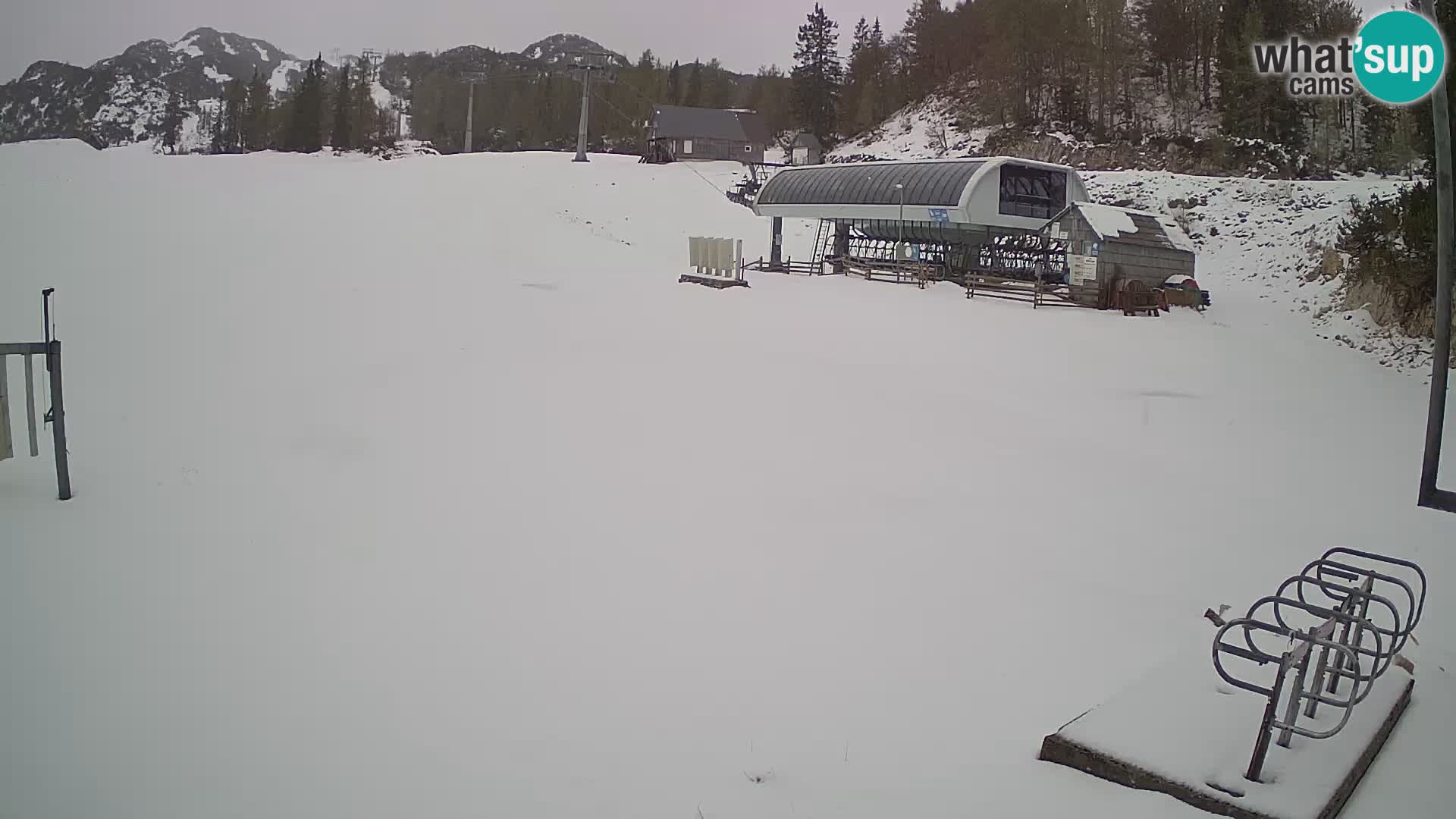 Vogel Ski Resort Live Webcam Snow Park