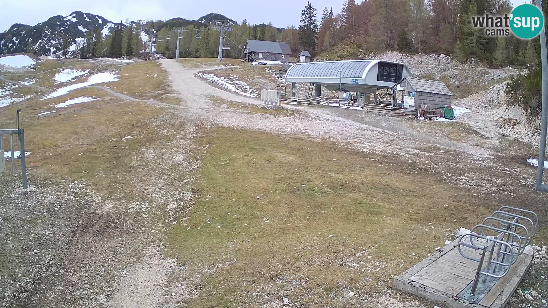 Vogel Ski Resort Live Webcam Snow Park
