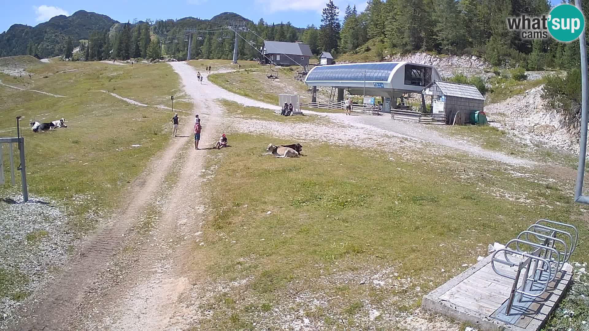 Stazione sciistica Vogel – parko neve