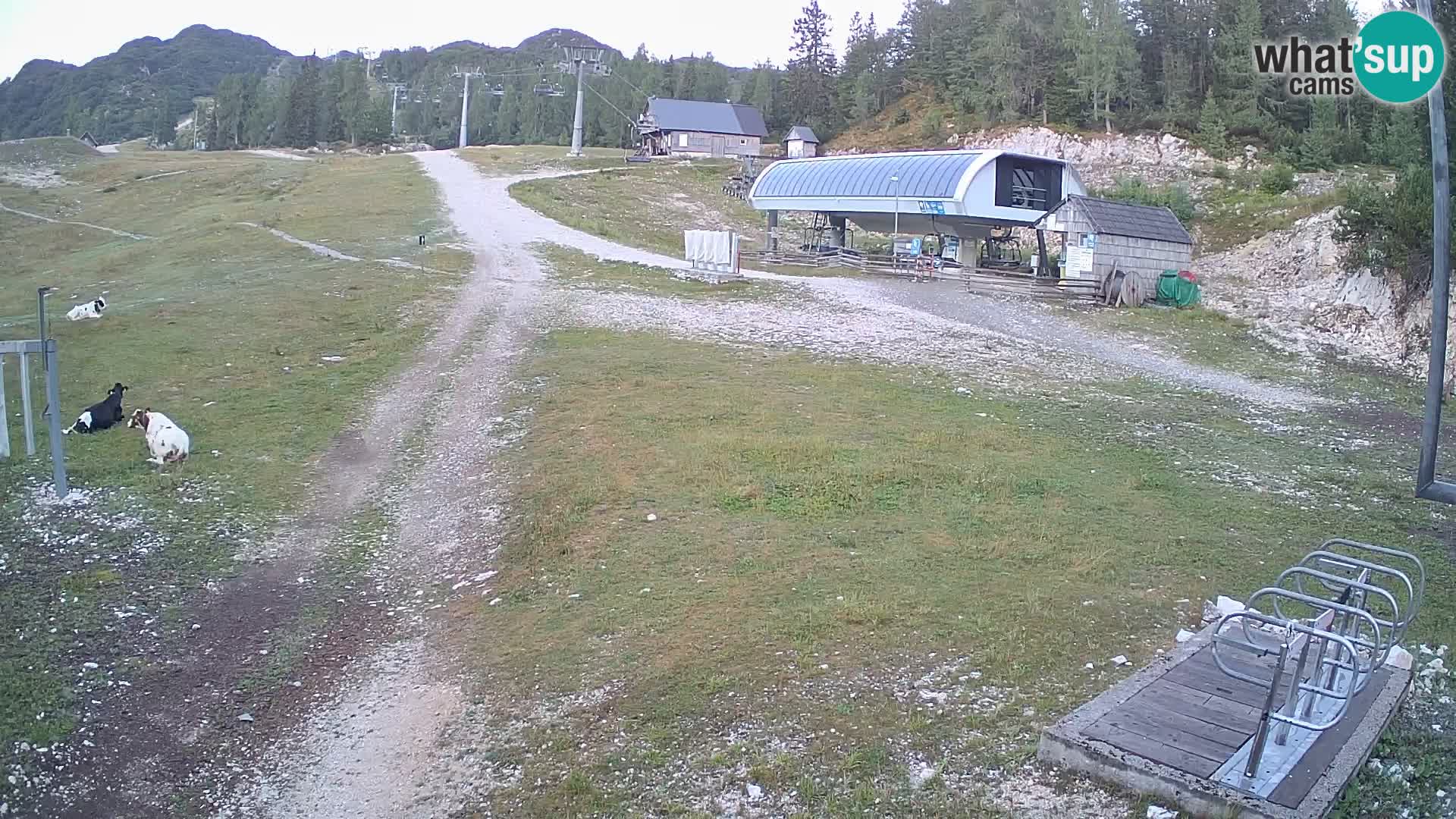 Skigebiet Vogel – Schnee-Park
