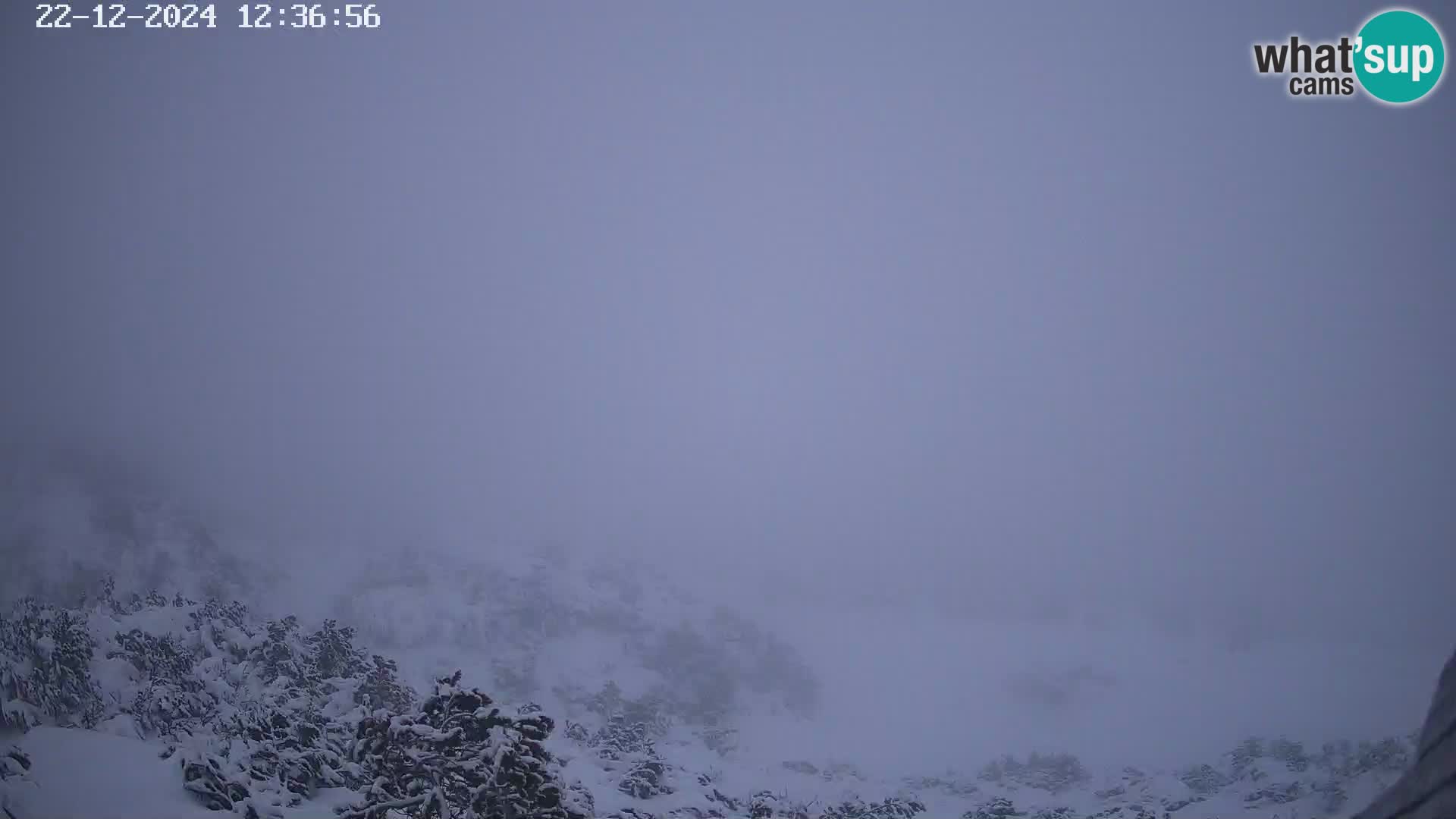 Vogel Ski Resort webcam View from Orlova Glava to Triglav