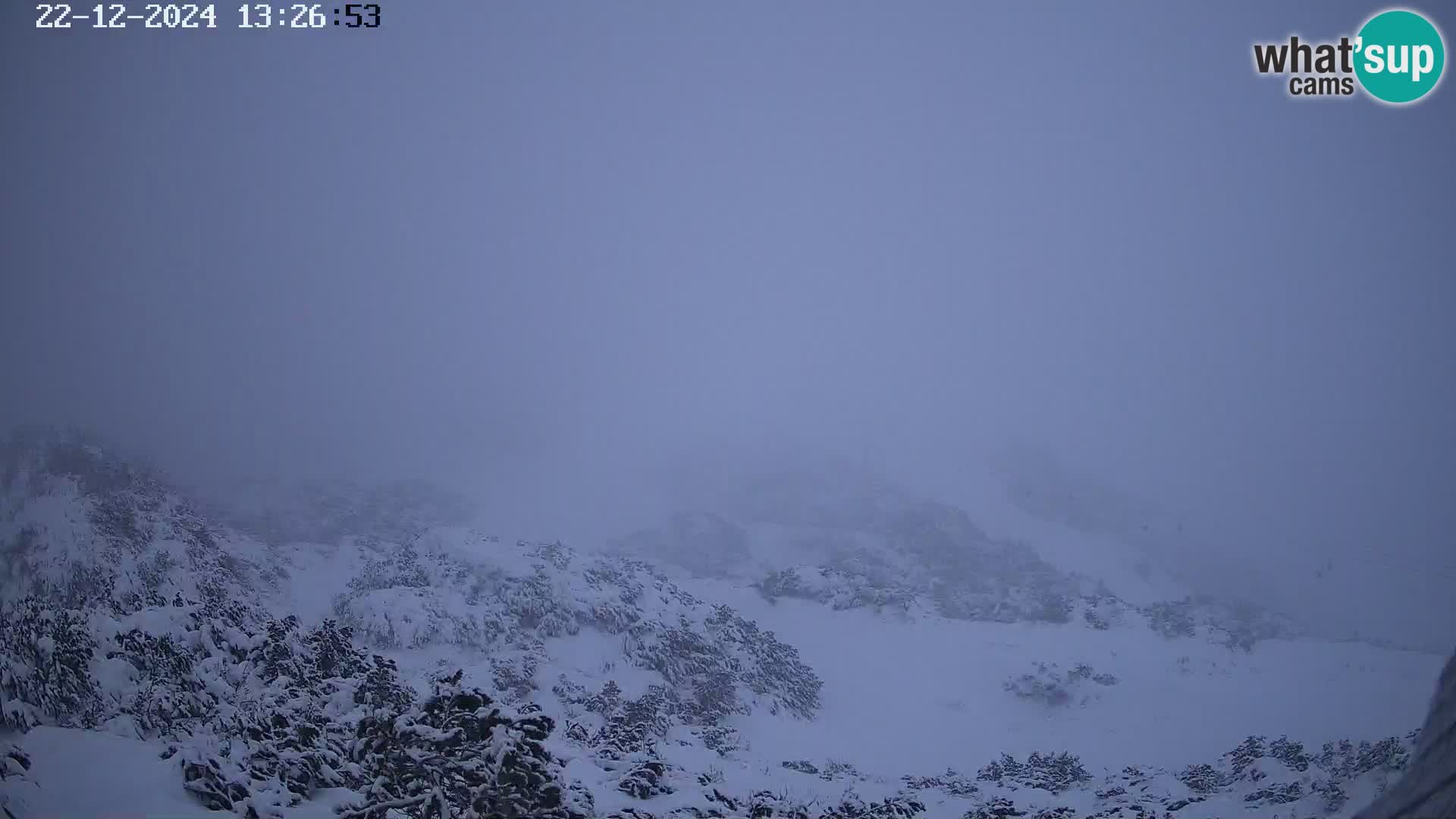 Vogel Ski Resort webcam View from Orlova Glava to Triglav