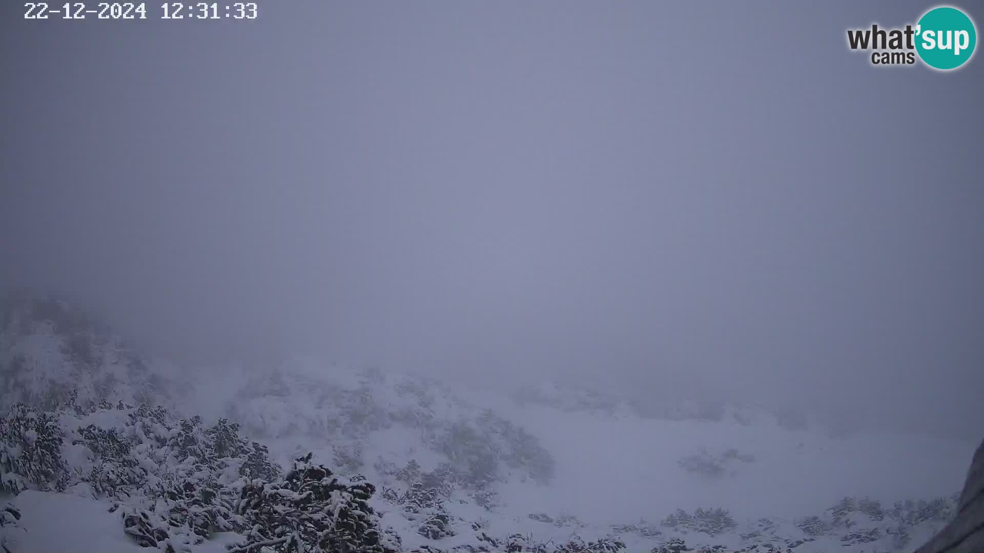 Stazione sciistica Vogel webcam Panorama dalla Orlova glave verso il Triglav