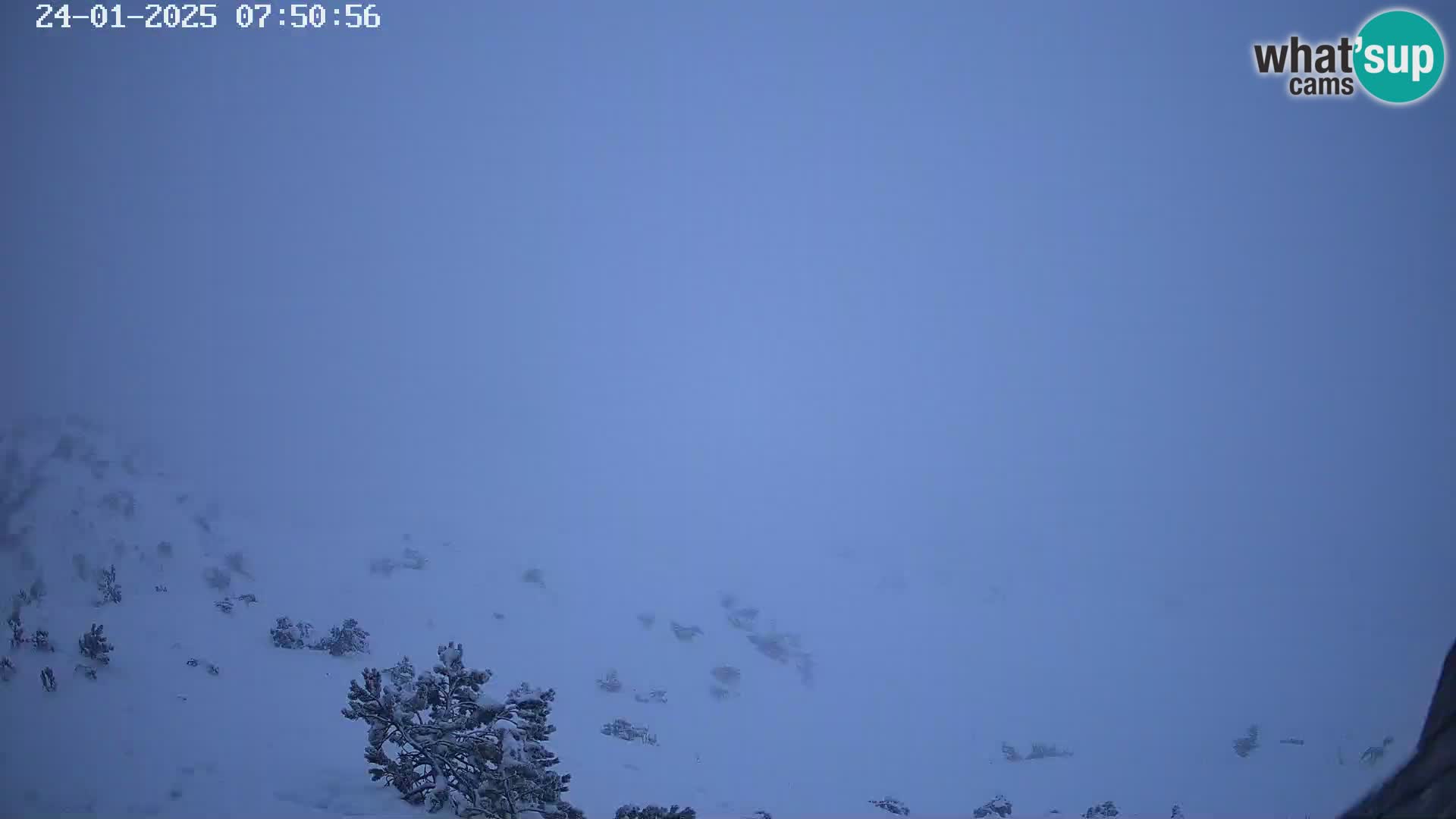 Stazione sciistica Vogel webcam Panorama dalla Orlova glave verso il Triglav