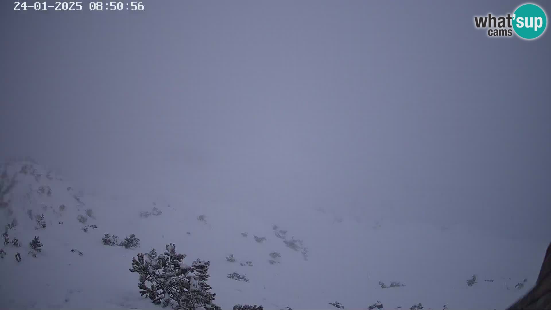 Vogel Ski Resort webcam View from Orlova Glava to Triglav