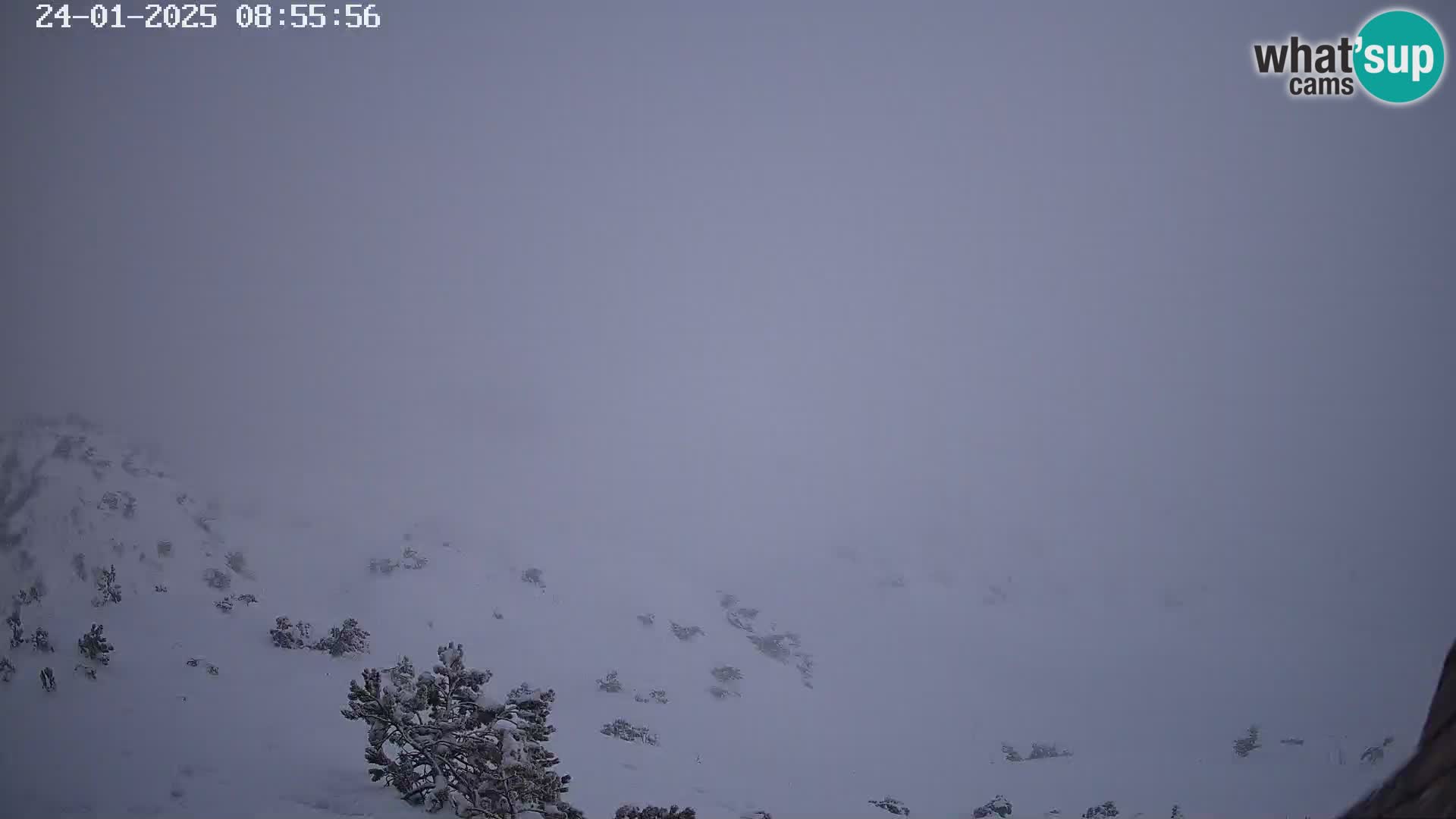 Stazione sciistica Vogel webcam Panorama dalla Orlova glave verso il Triglav