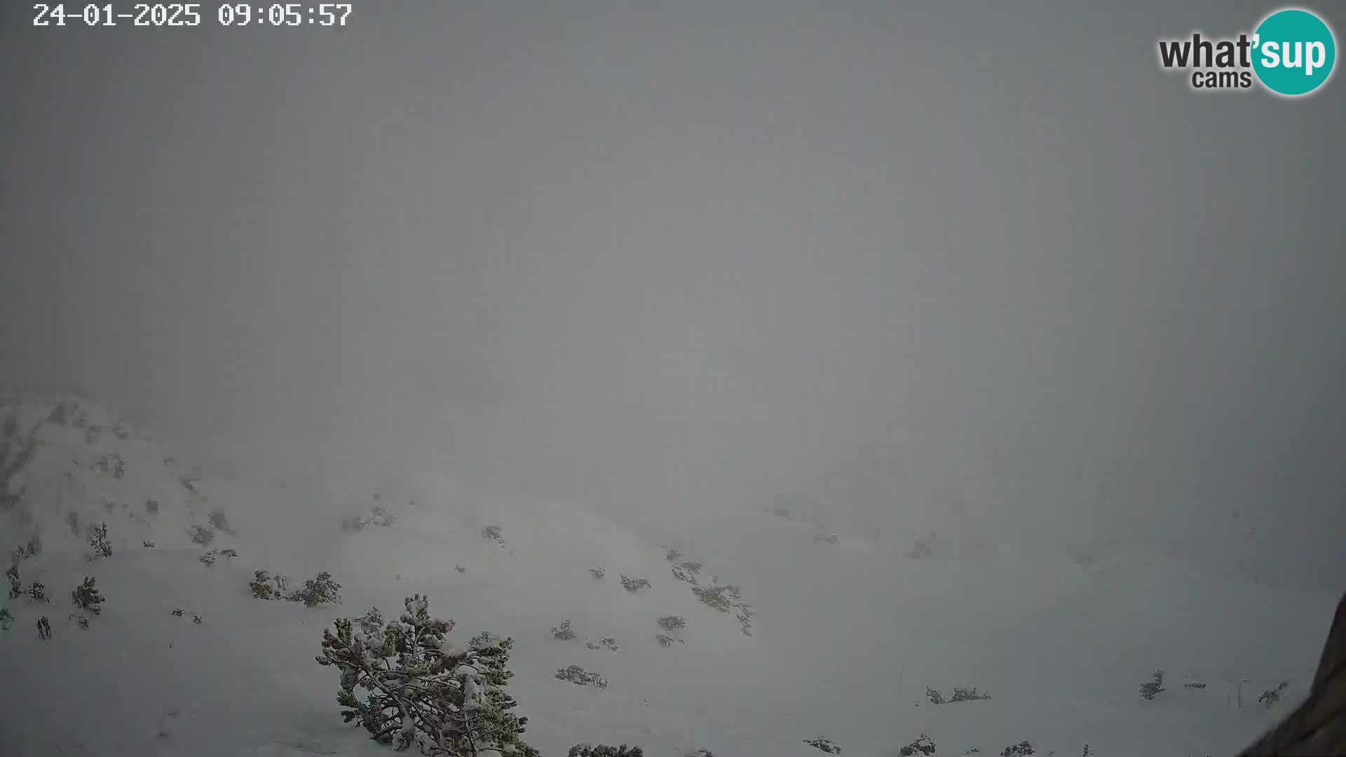 Skigebiet Vogel webcam Orlova Glava und Triglav