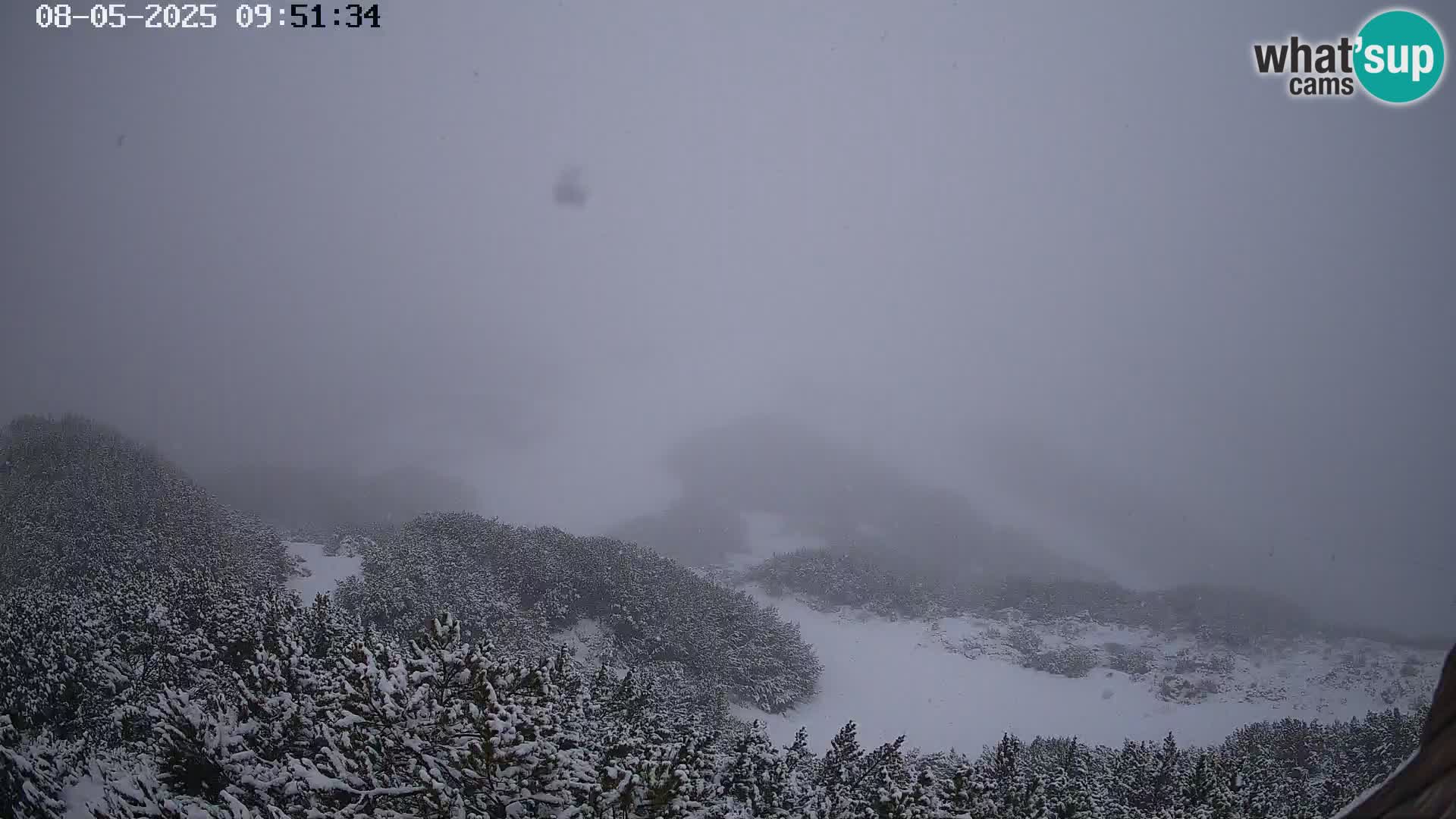 Skigebiet Vogel webcam Orlova Glava und Triglav