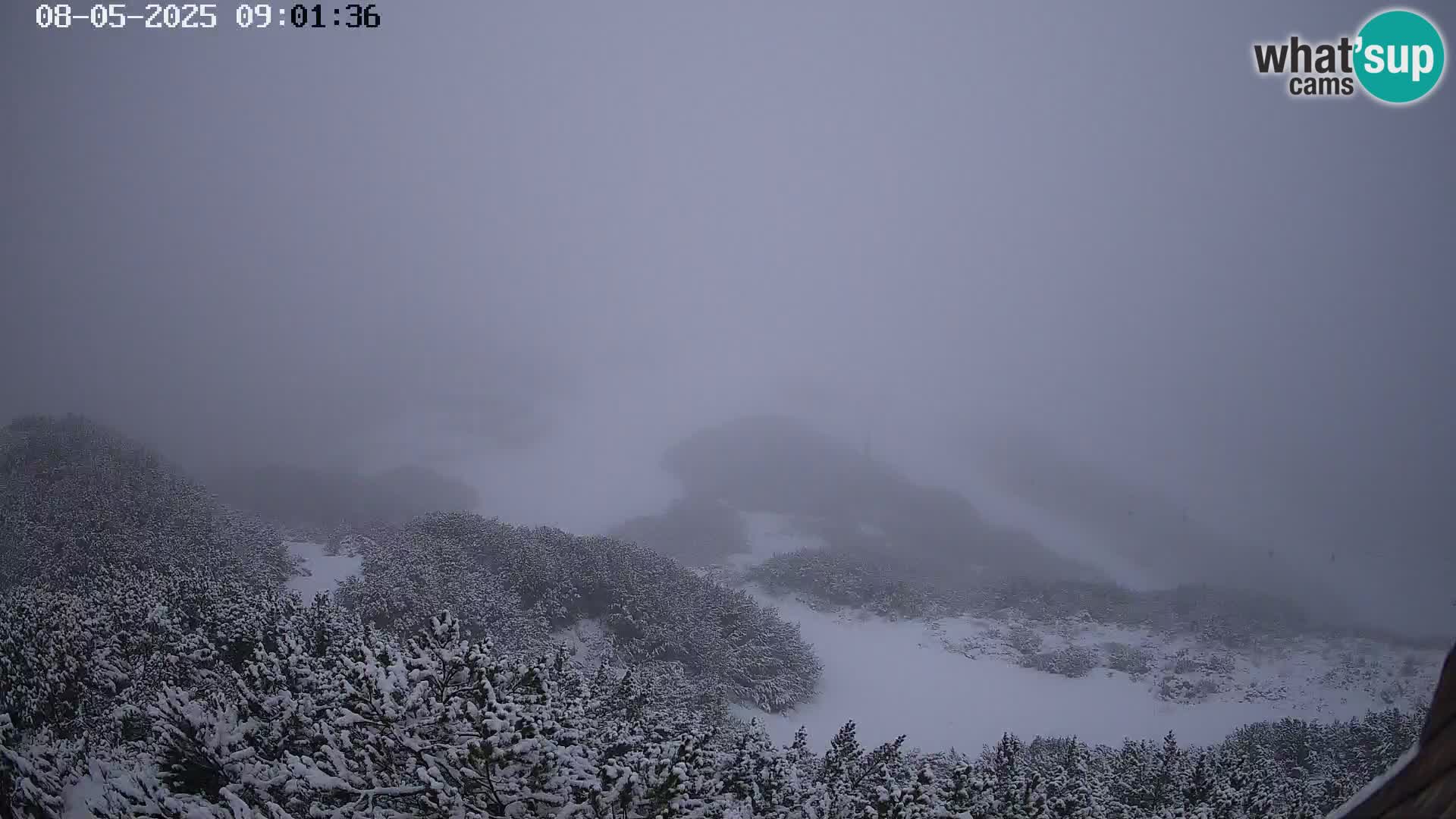 Stazione sciistica Vogel webcam Panorama dalla Orlova glave verso il Triglav